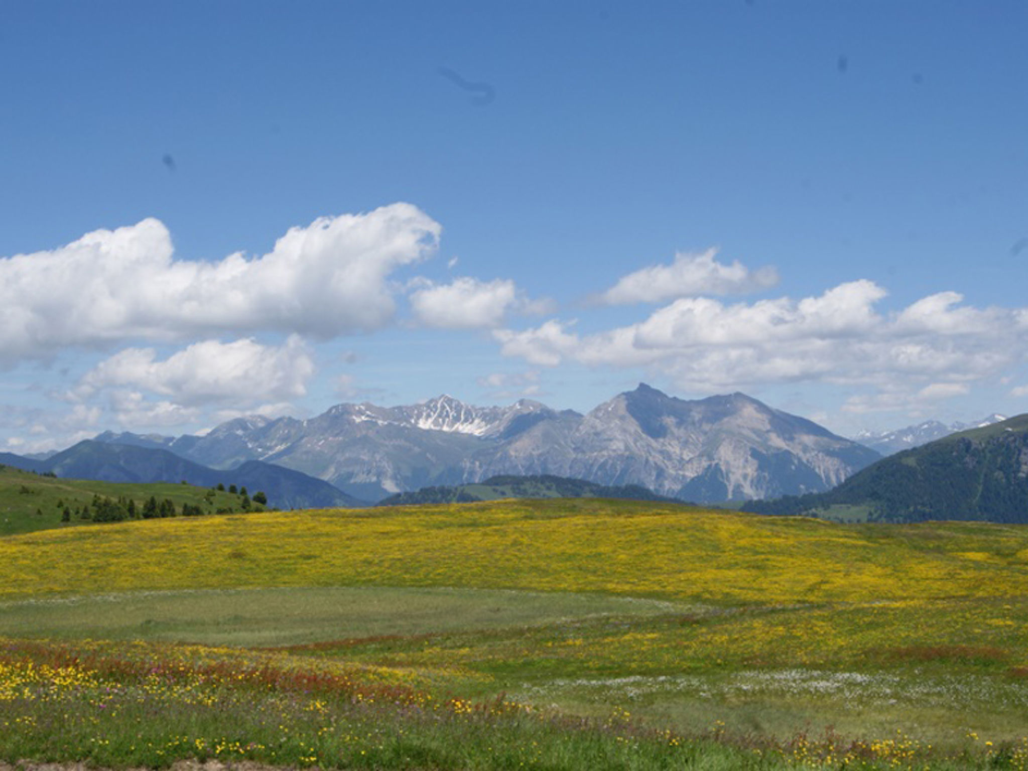 Maiensäss Dros, (Mathon). - Buiten