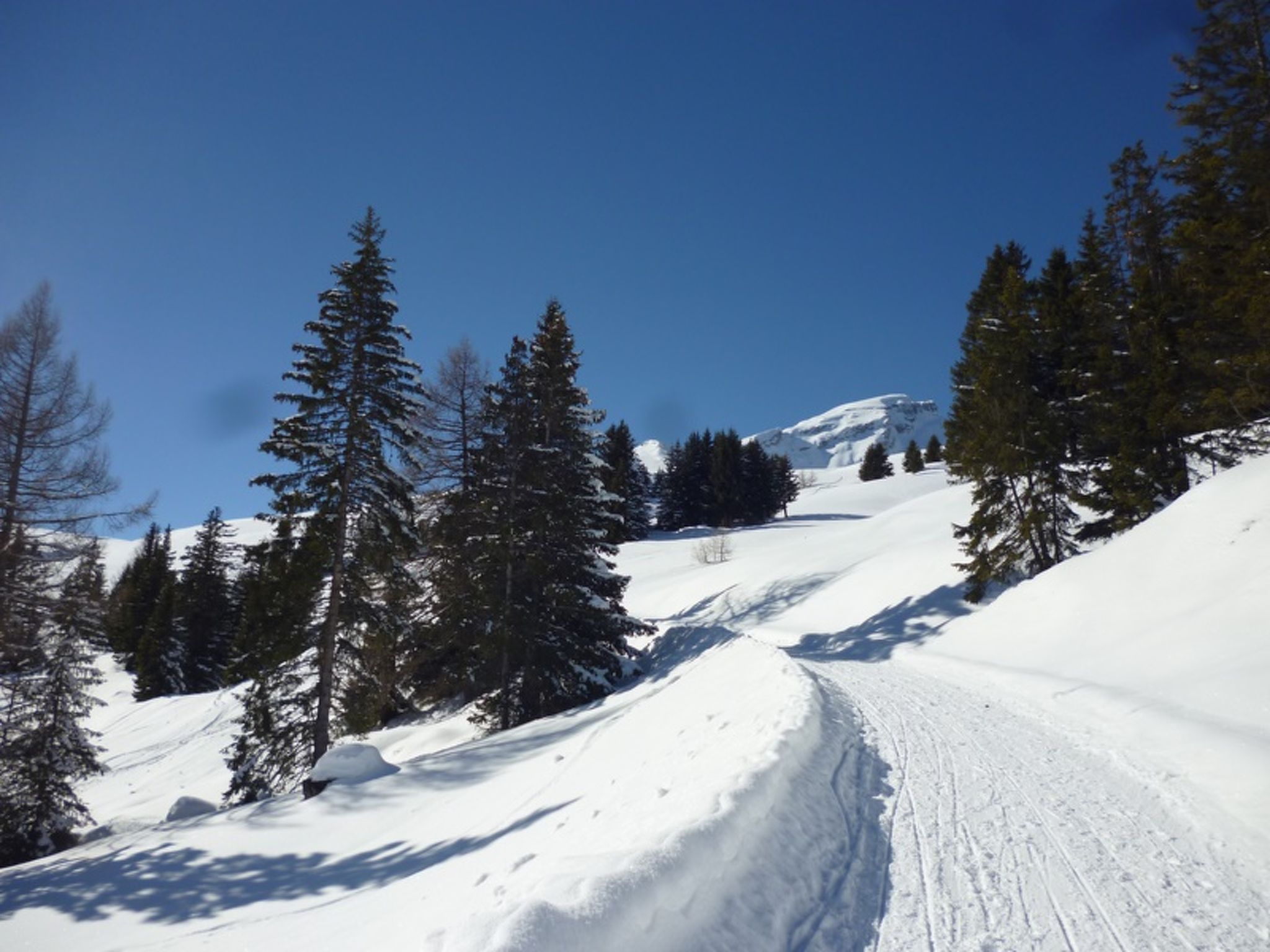 Maiensäss Dros, (Mathon). - Buiten