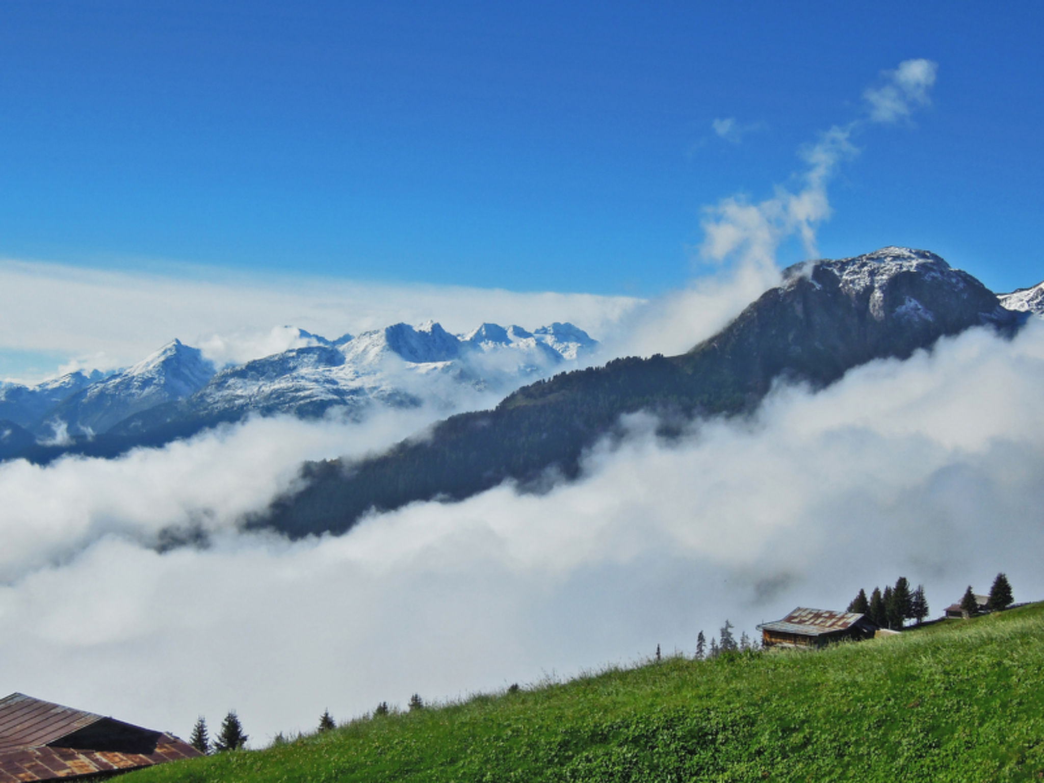 Maiensäss Dros, (Mathon). - Buiten