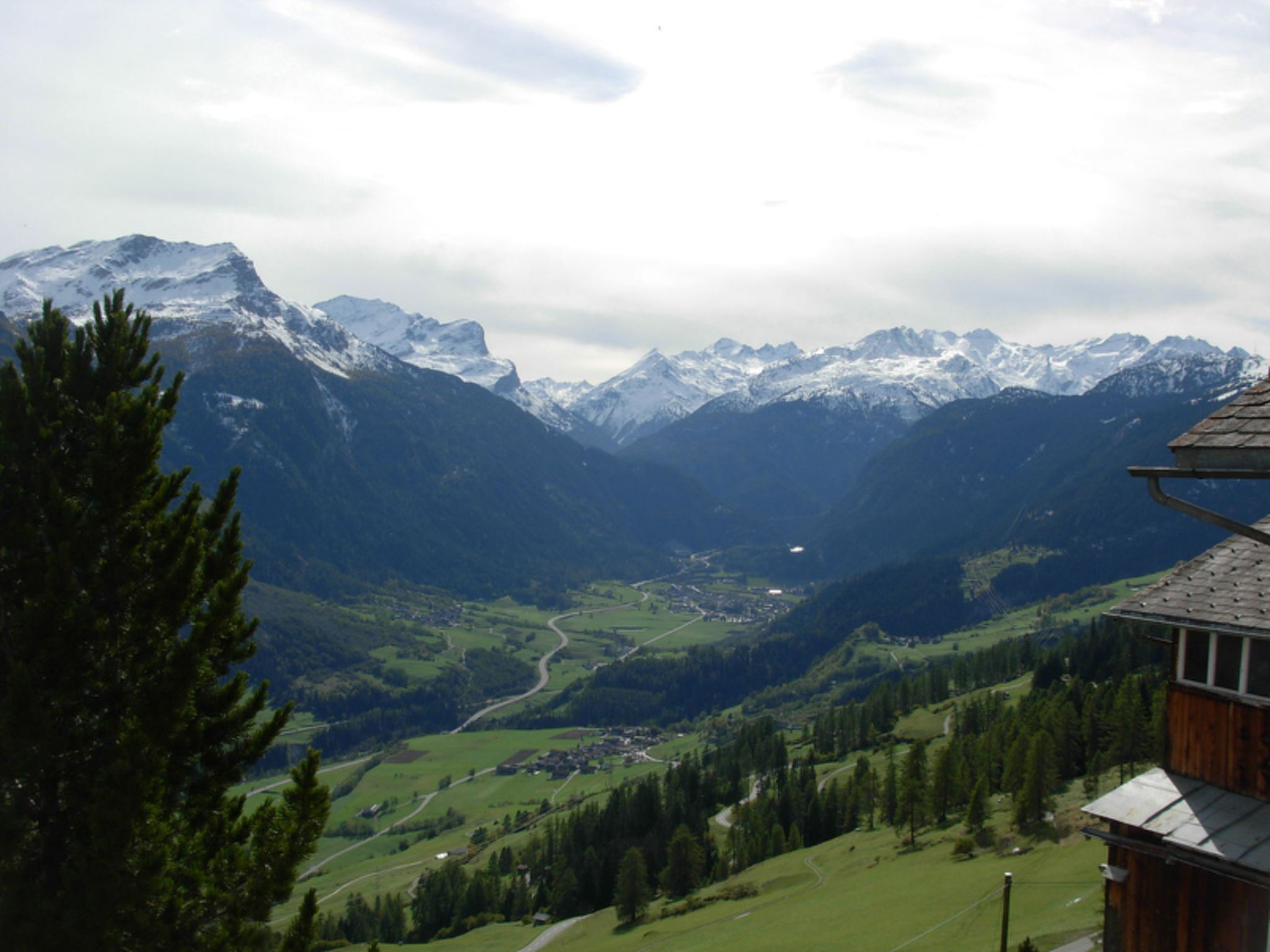 Tgea Beala Vesta, (Lohn).