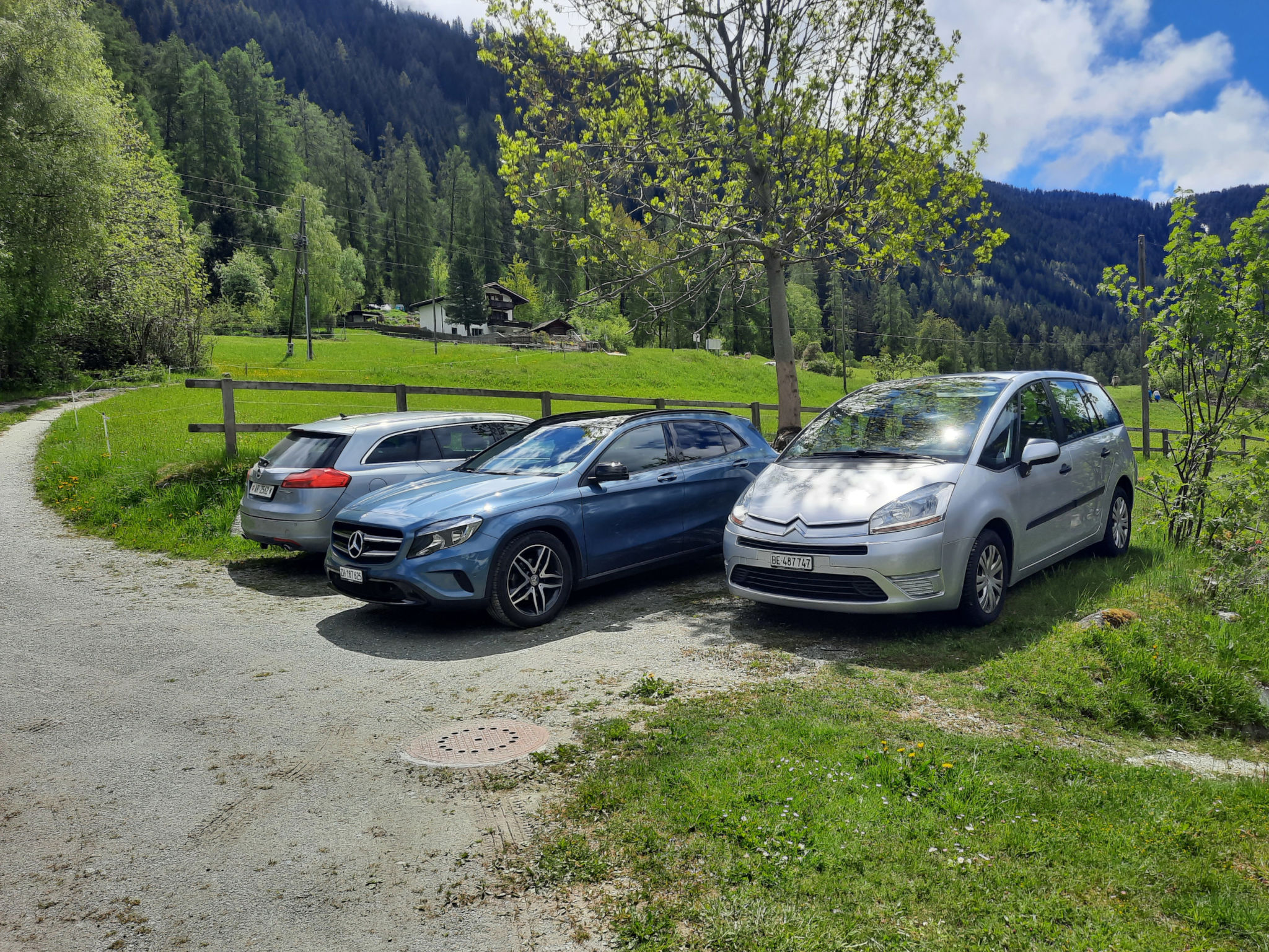 Haus La Crappa, (Andeer).