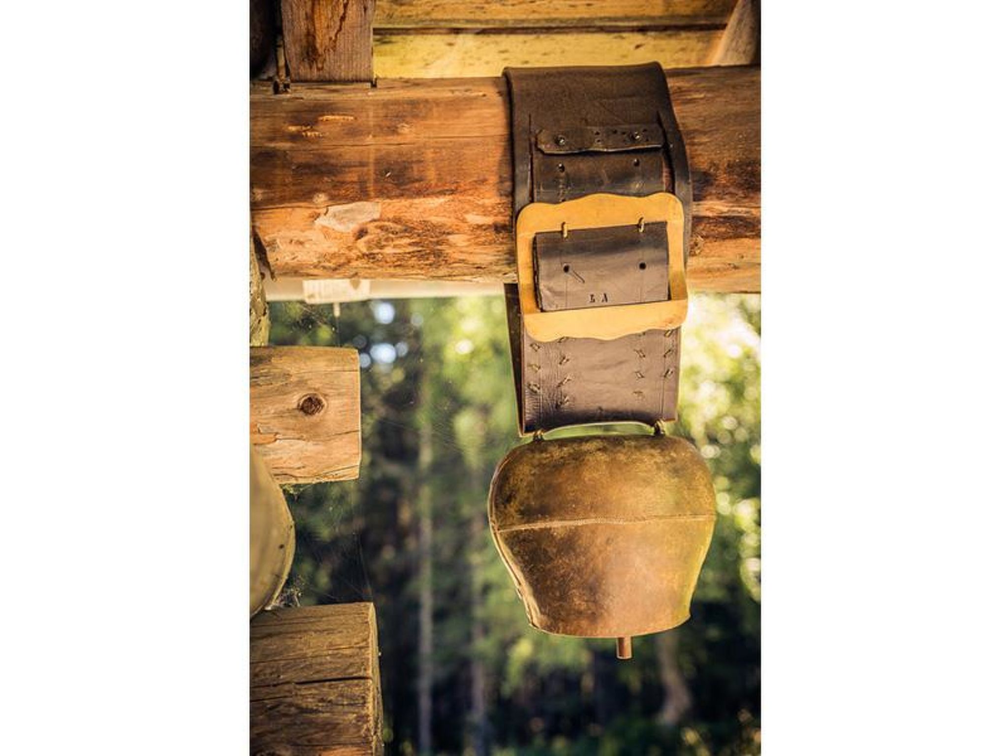Maiensäss Molas Sot Appartement/Fewo Maiensäss-Stall - Buiten