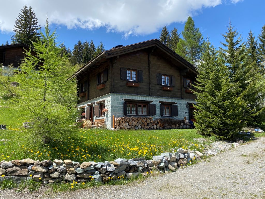 Vakantiehuis Chalet Rodas 9 in Zwitserland