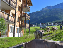 Apartment Surses Alpin