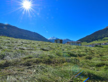 Apartment Surses Alpin