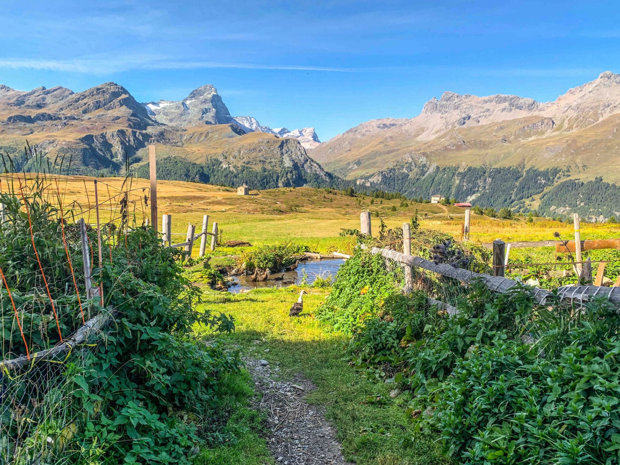 Mit Blick in die Berge-Image-tags.info