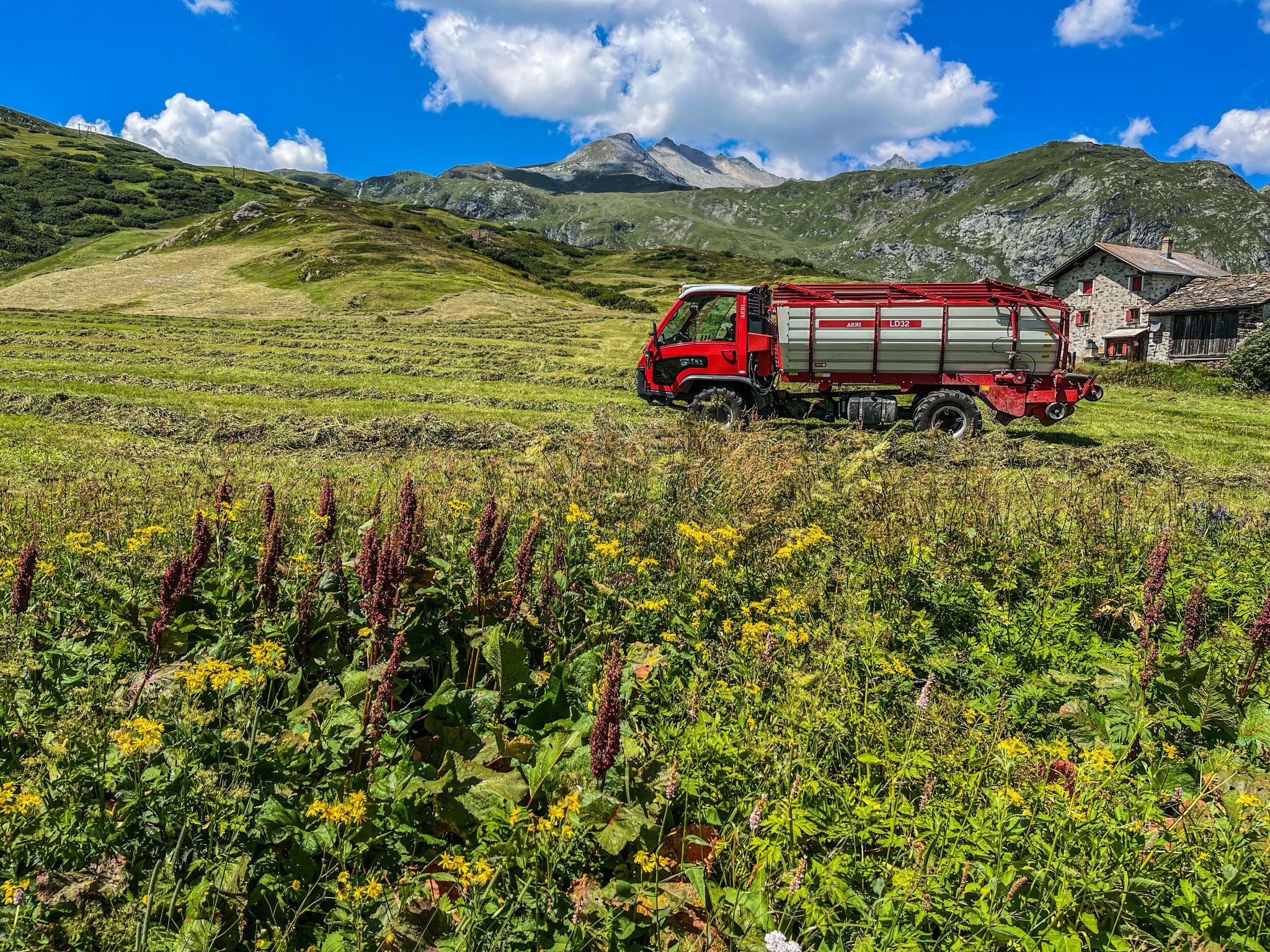 Mit Blick in die Berge-Image-tags.info