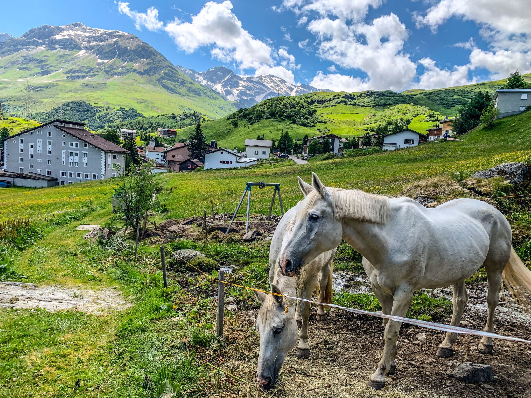 Mit Blick in die Berge-Image-tags.info