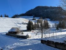 Compact bergappartement direct aan de skipiste in Bergün - thumbnail 4