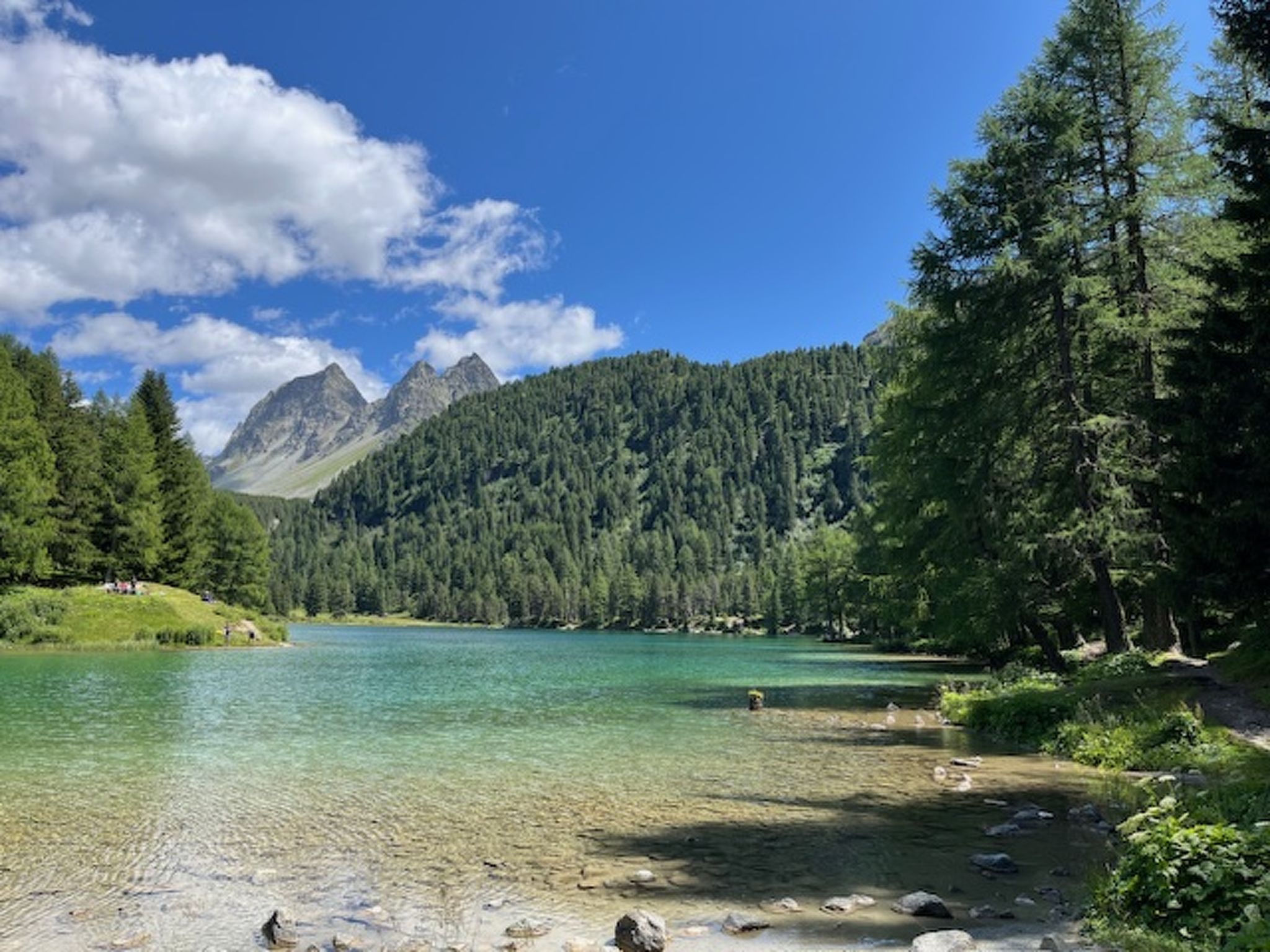 Albula B Chasa Nana, (Bergün/Bravuogn). - Buiten