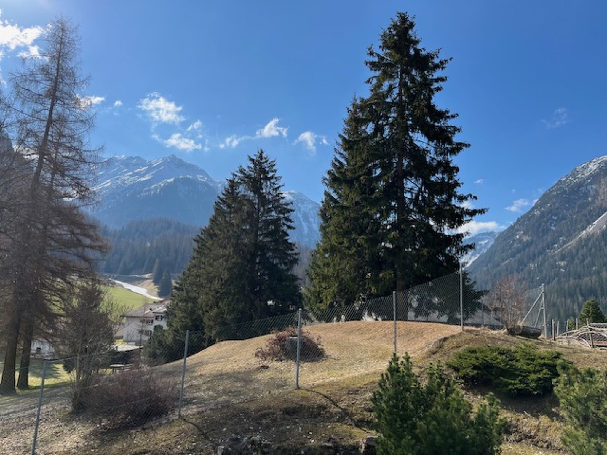 Albula B Chasa Nana, (Bergün/Bravuogn). - Buiten