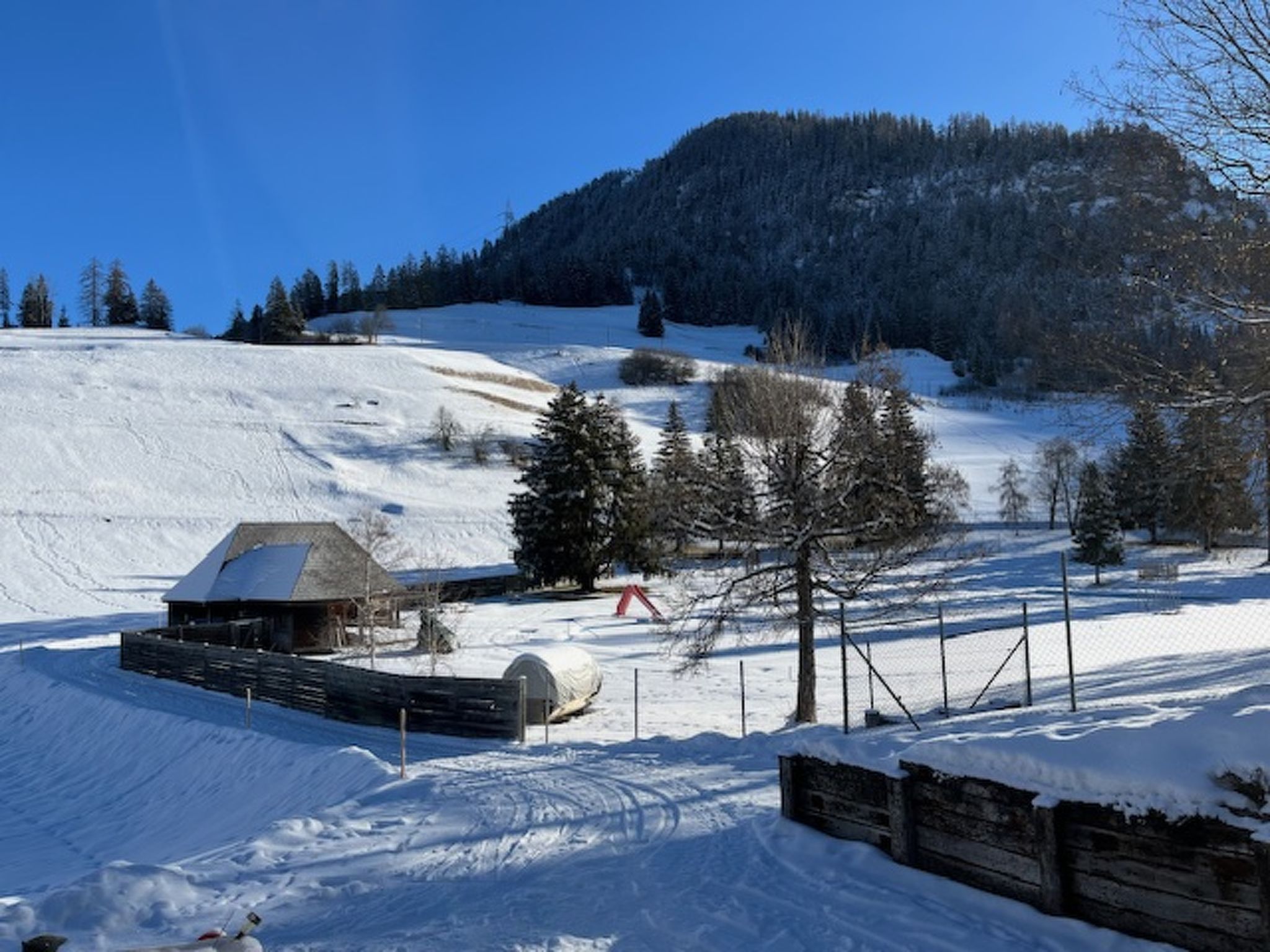 Albula B Chasa Nana, (Bergün/Bravuogn).