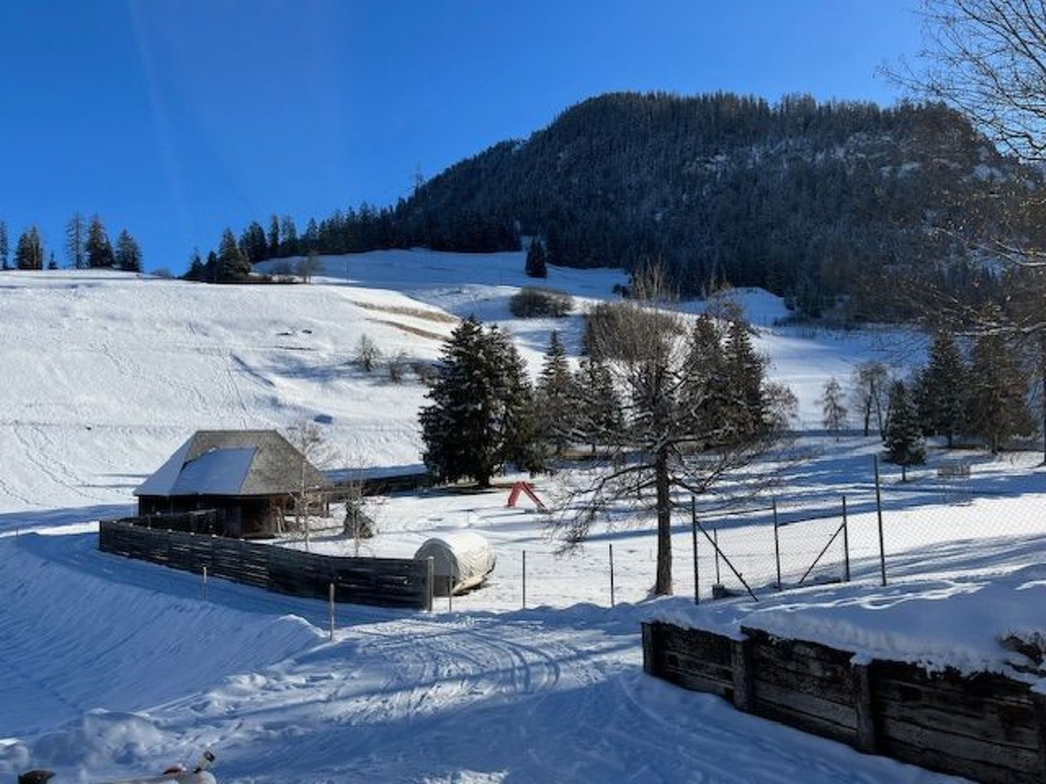 Appartement Albula B Chasa Nana, (Bergün/Bravuogn), 232 – Vue, photo 9 sur 49