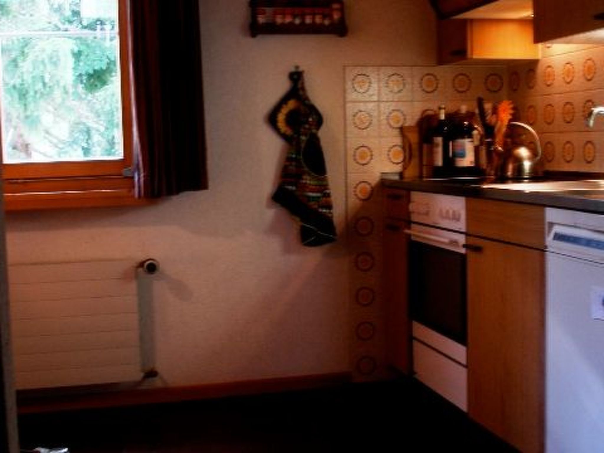 Chesa Rievanot B3, (Bergün/Bravuogn), 207