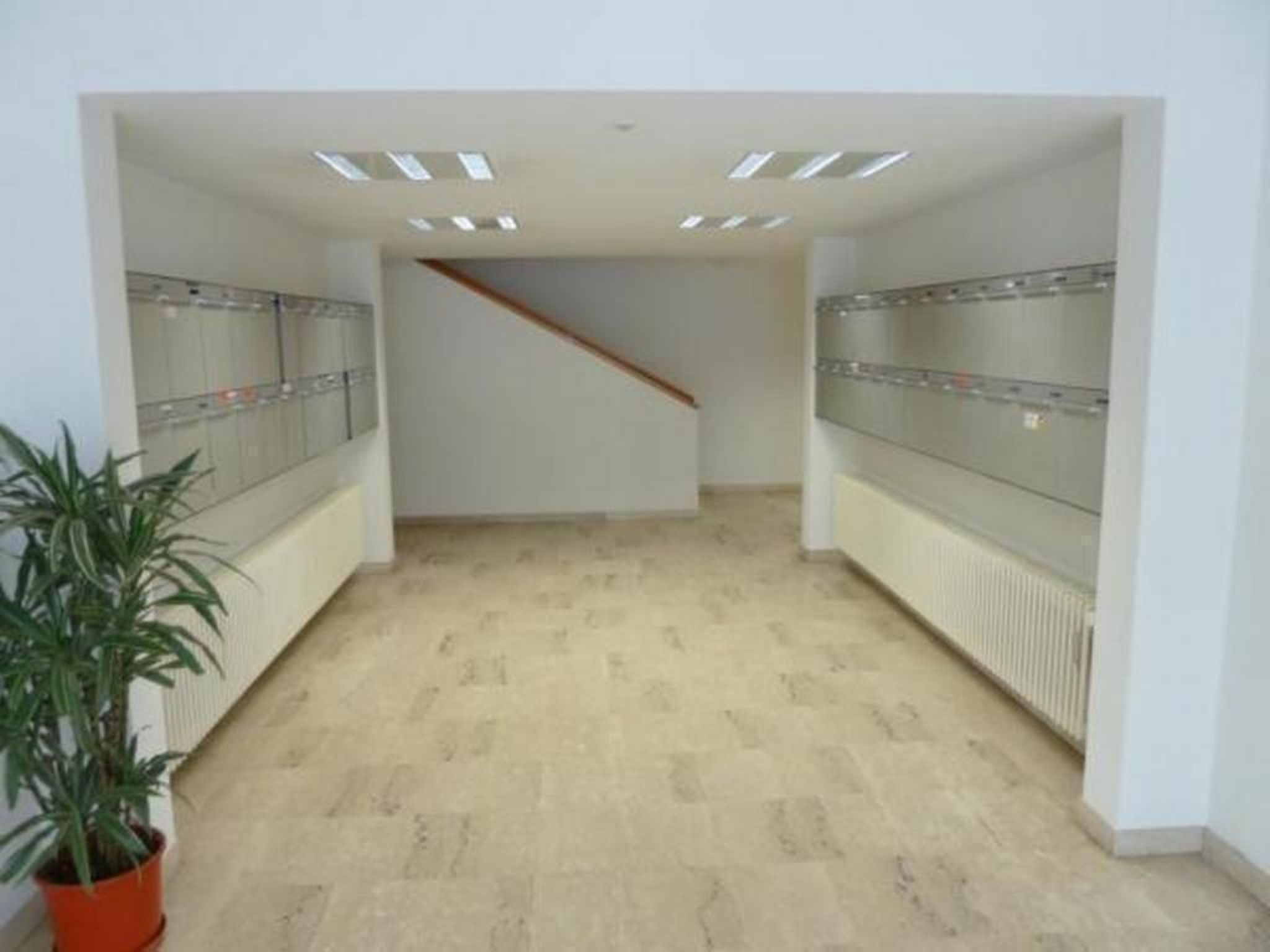 Derby 19-Image-tags.info