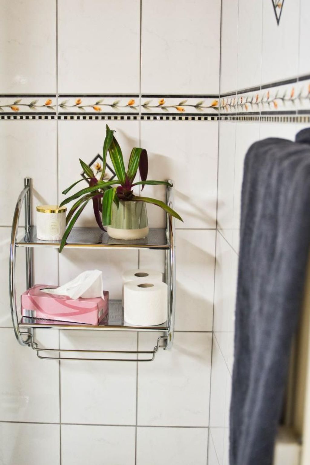 Derby 11-Image-tags.info