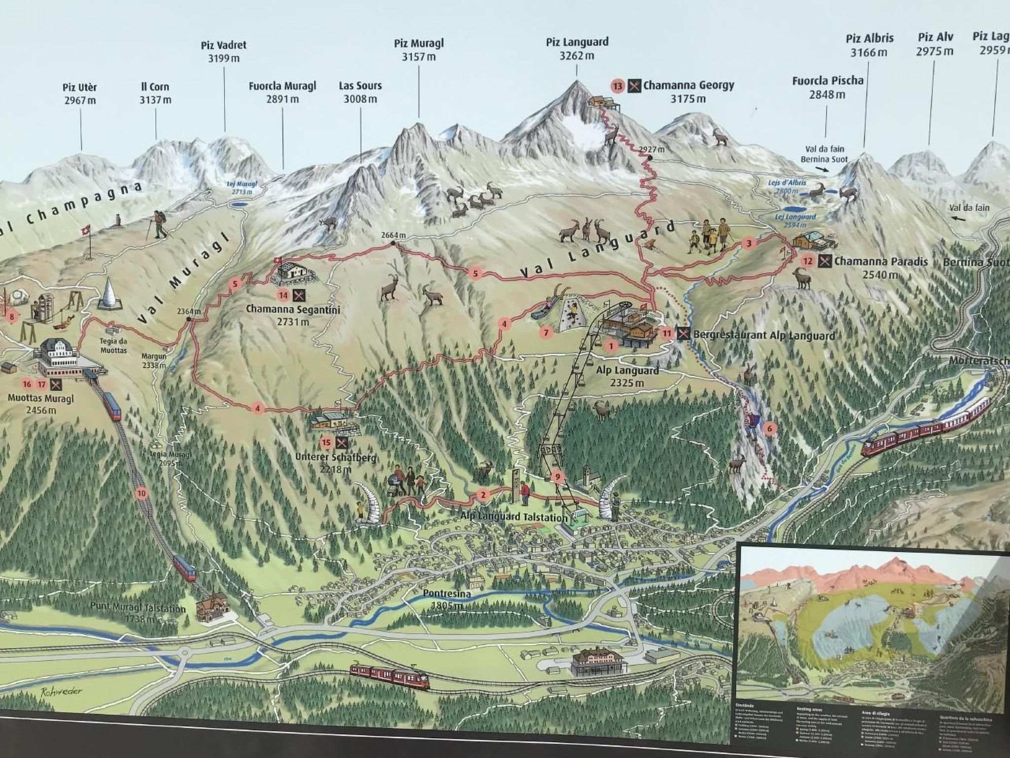 Derby 11-Image-tags.info