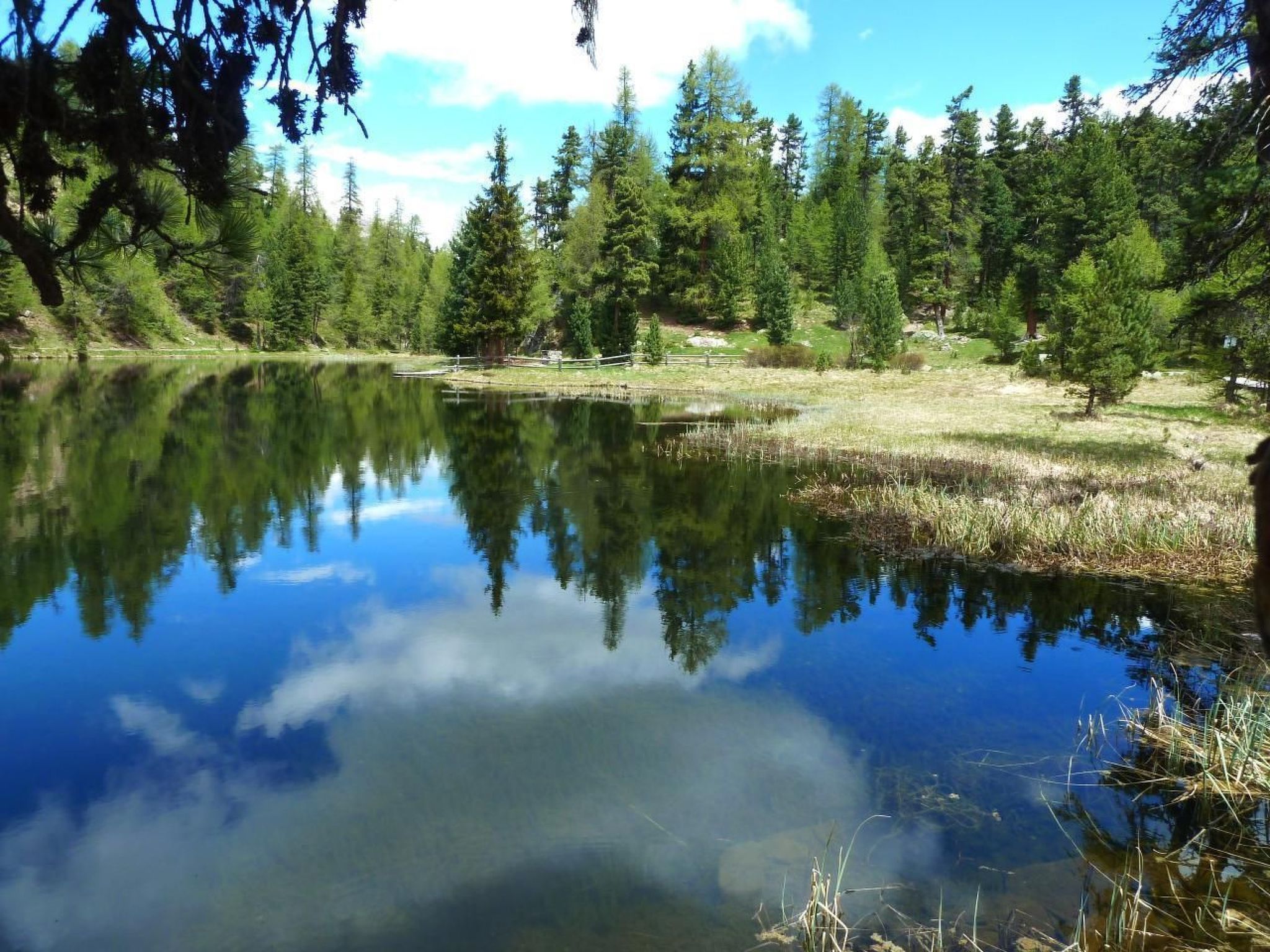 Derby 11-Image-tags.info