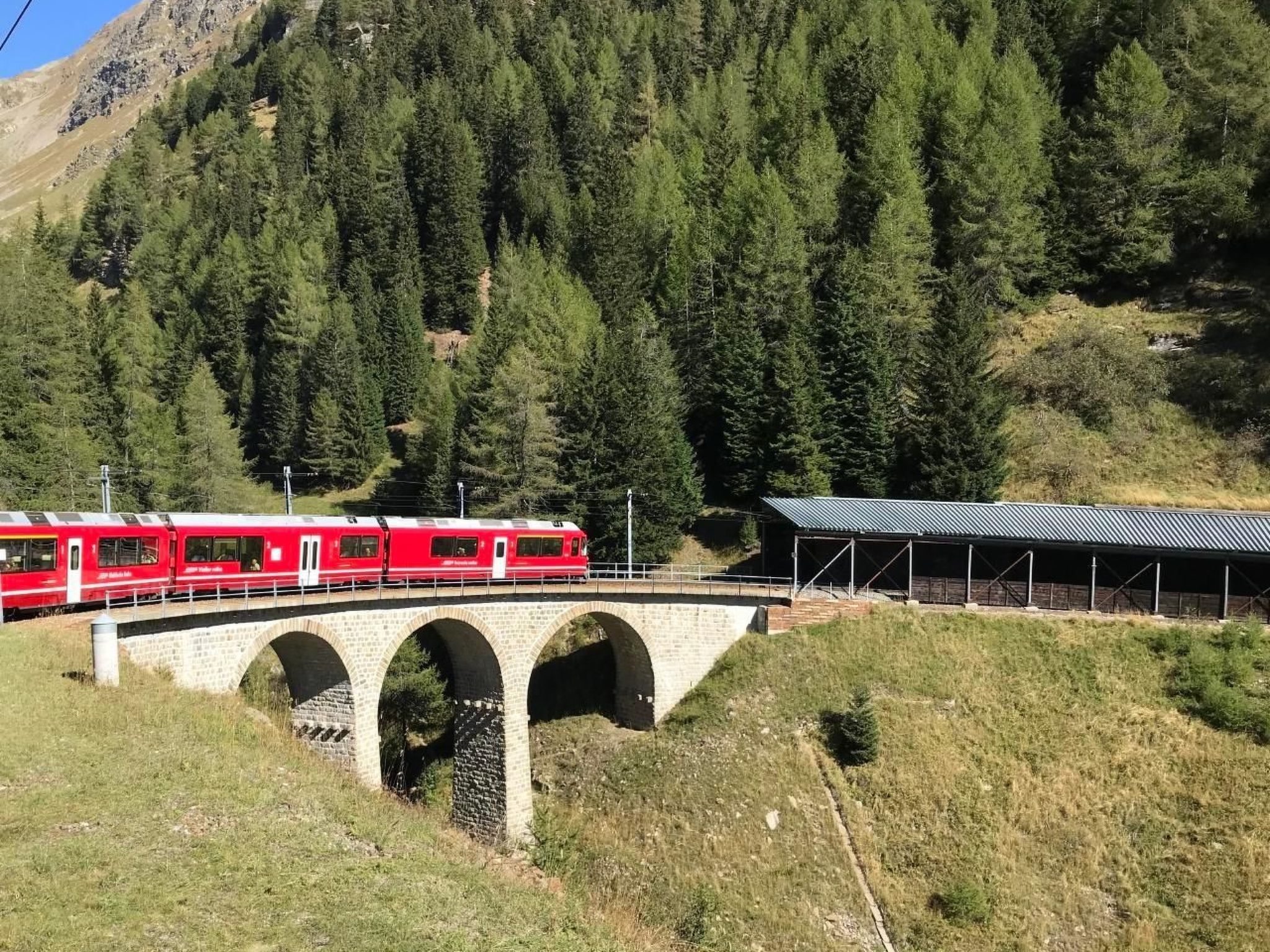 Derby 11-Image-tags.info