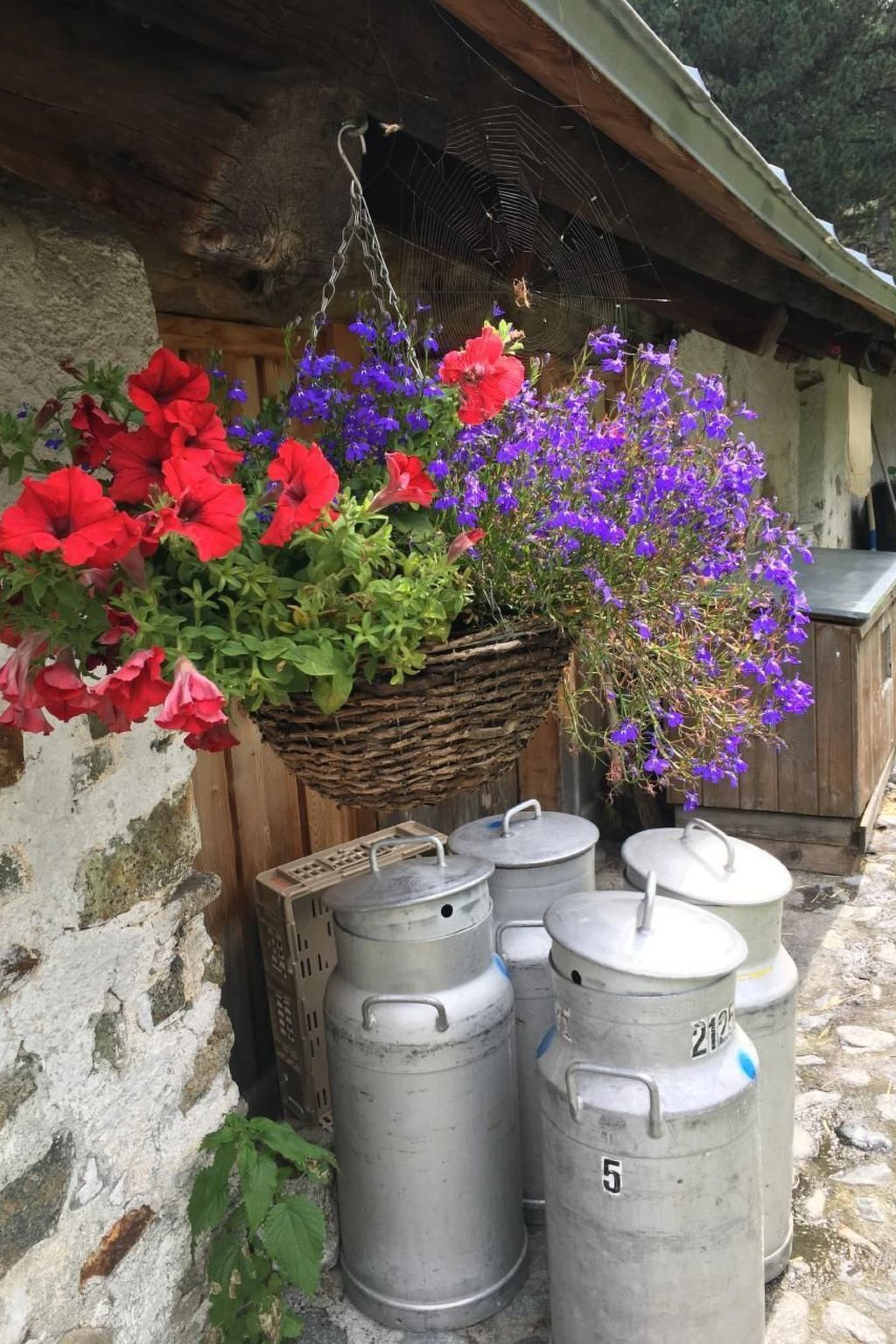 Derby 11-Image-tags.info