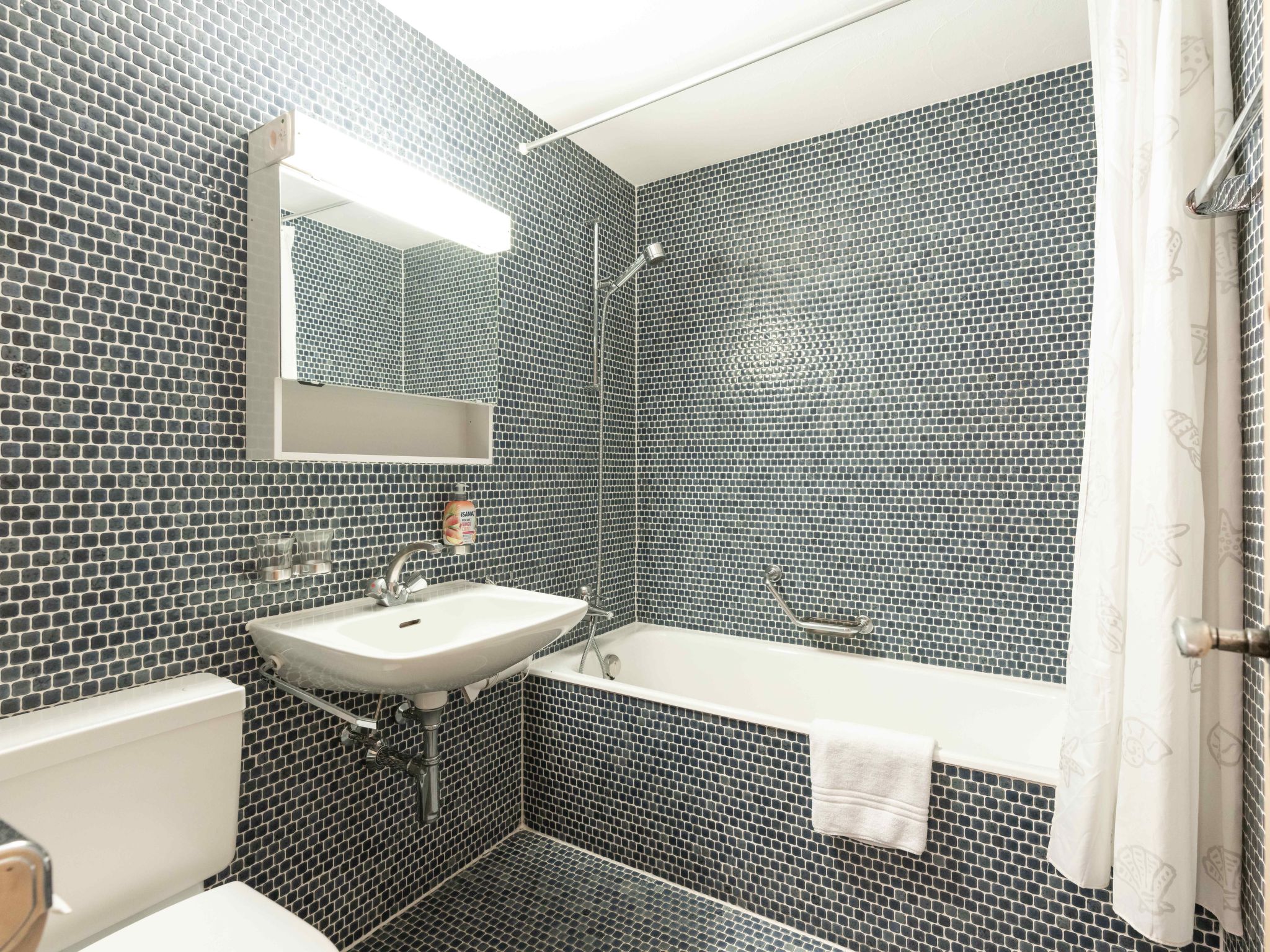 Chesa Michel Roseg-Image-tags.info