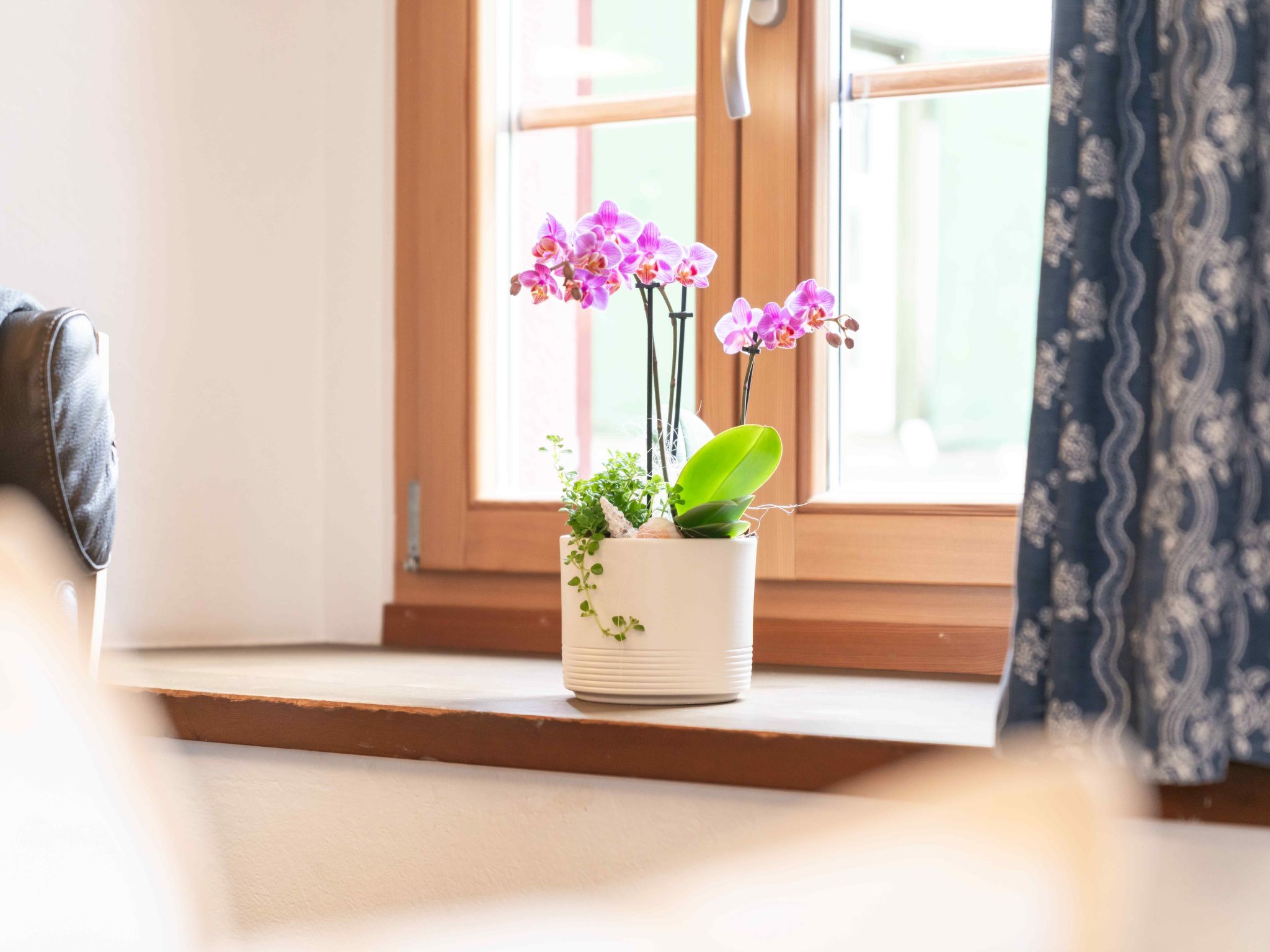 Morteratsch-Image-tags.info