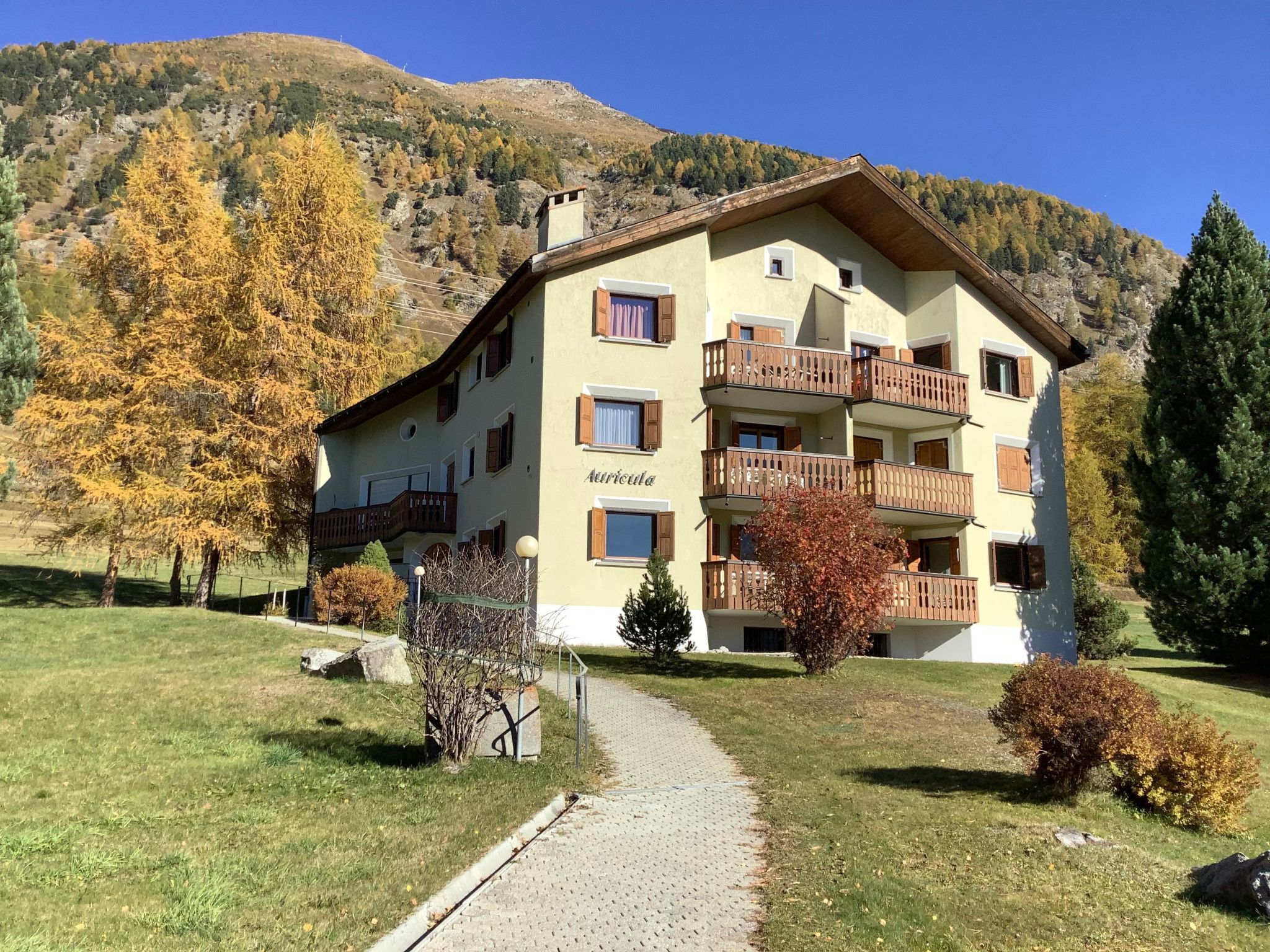 Chesa Auicula Apartment in Pontresina