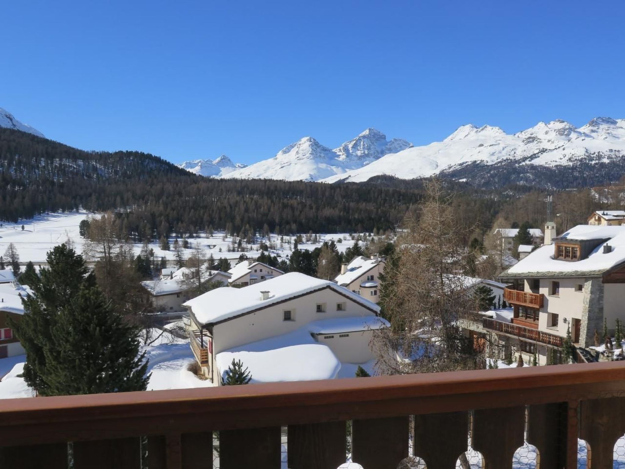 Photo of Chesa Azalee 10