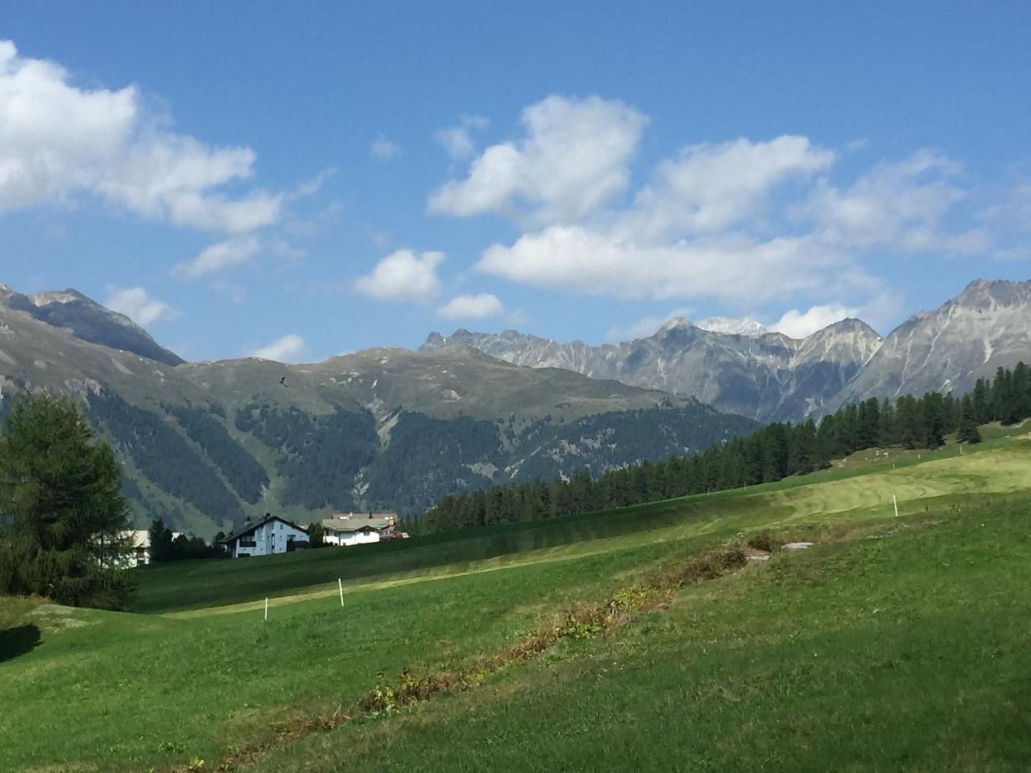 Photo of Chesa Pignola Studio