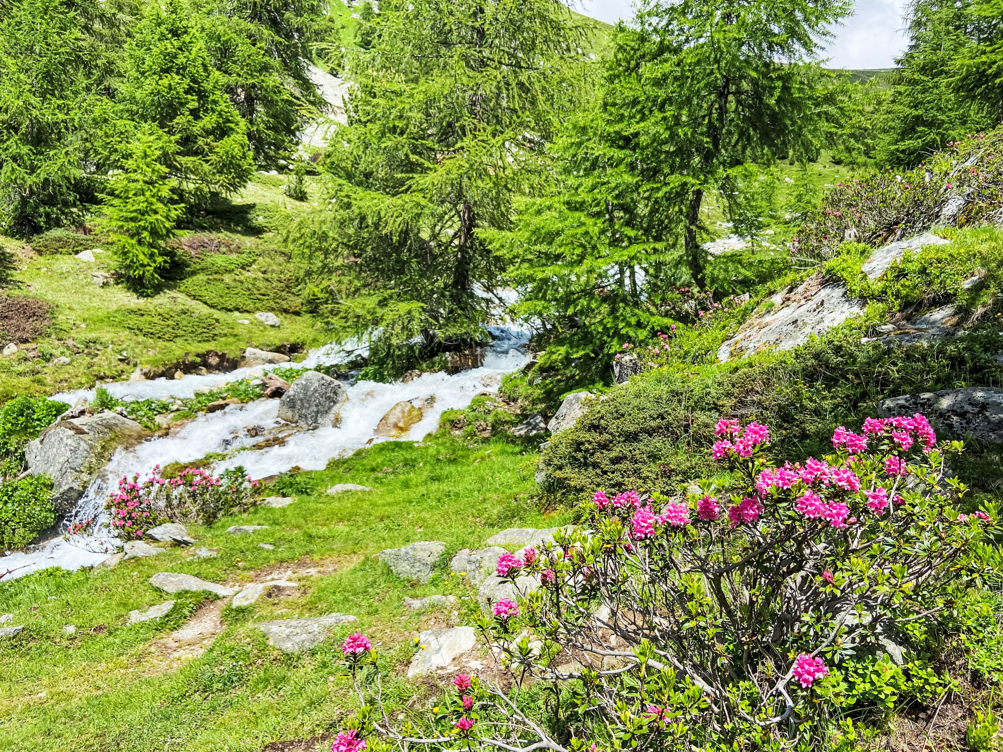 Photo of Chesa Basilisk 1 - ÖV inklusive