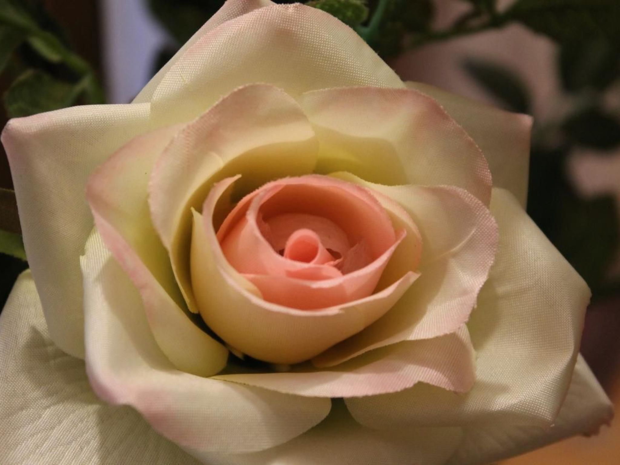 Photo of Chesa Centrela