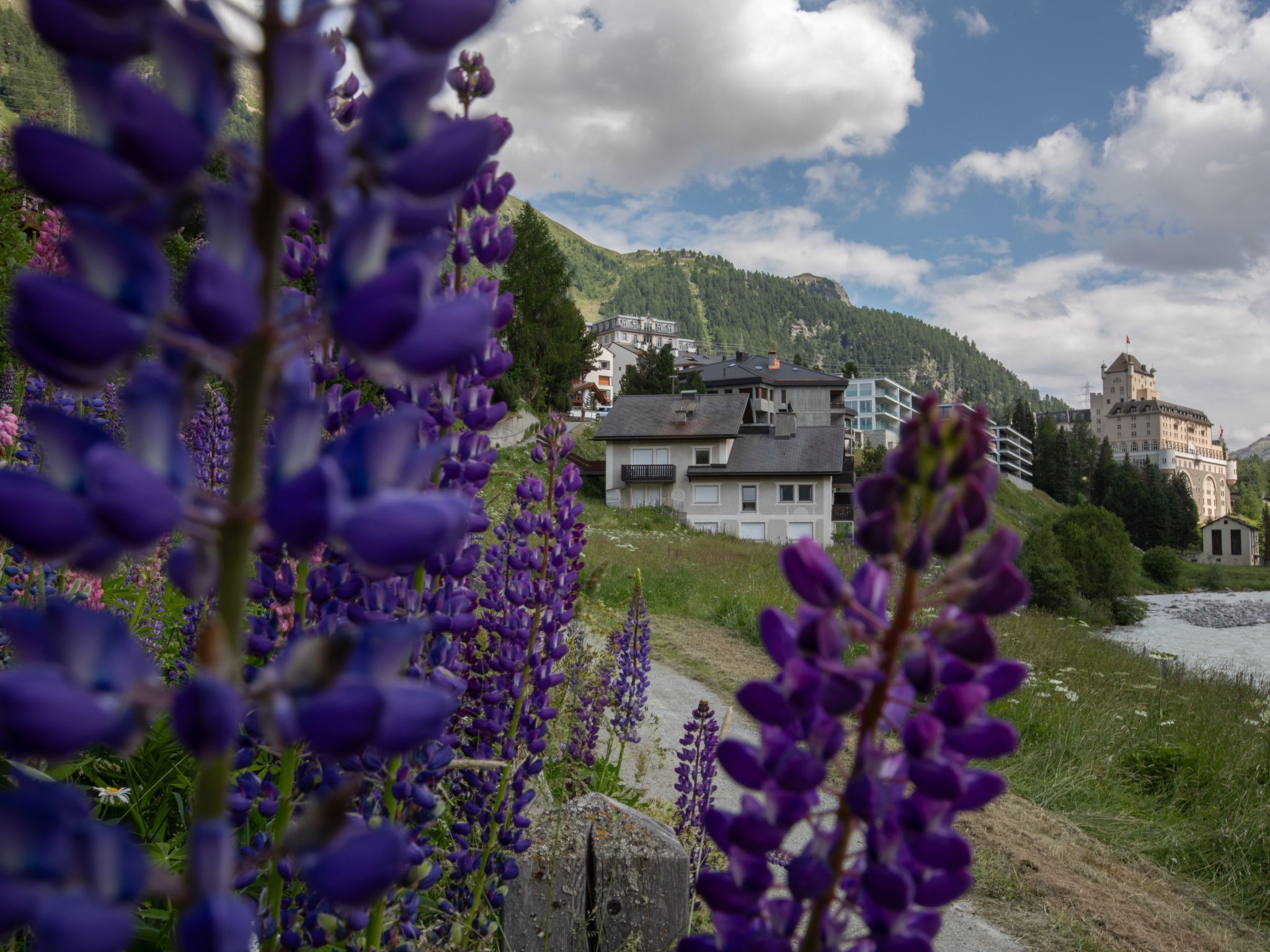 Studio Flüm Accommodation in Pontresina
