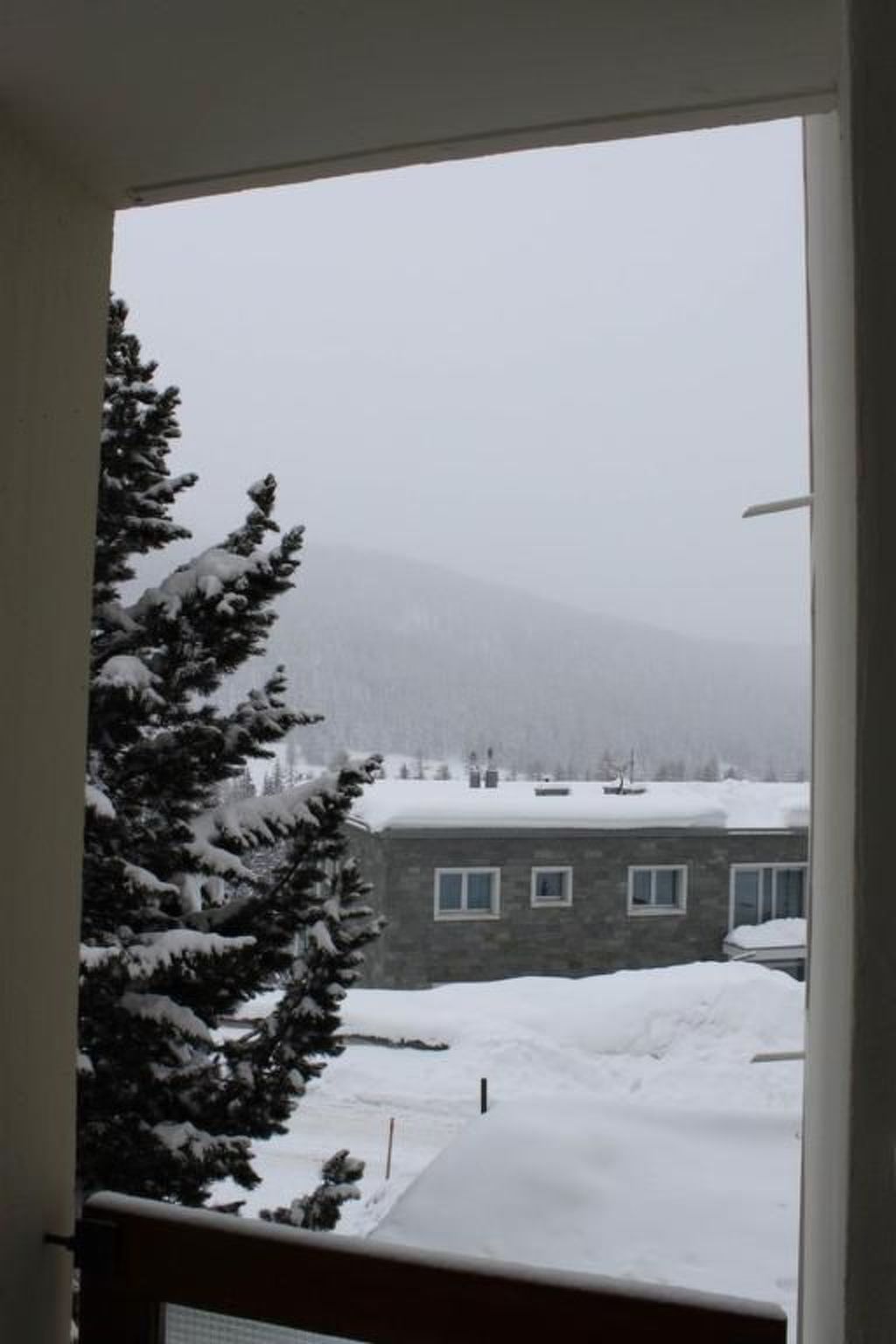 Photo of Chesa Piz Alv