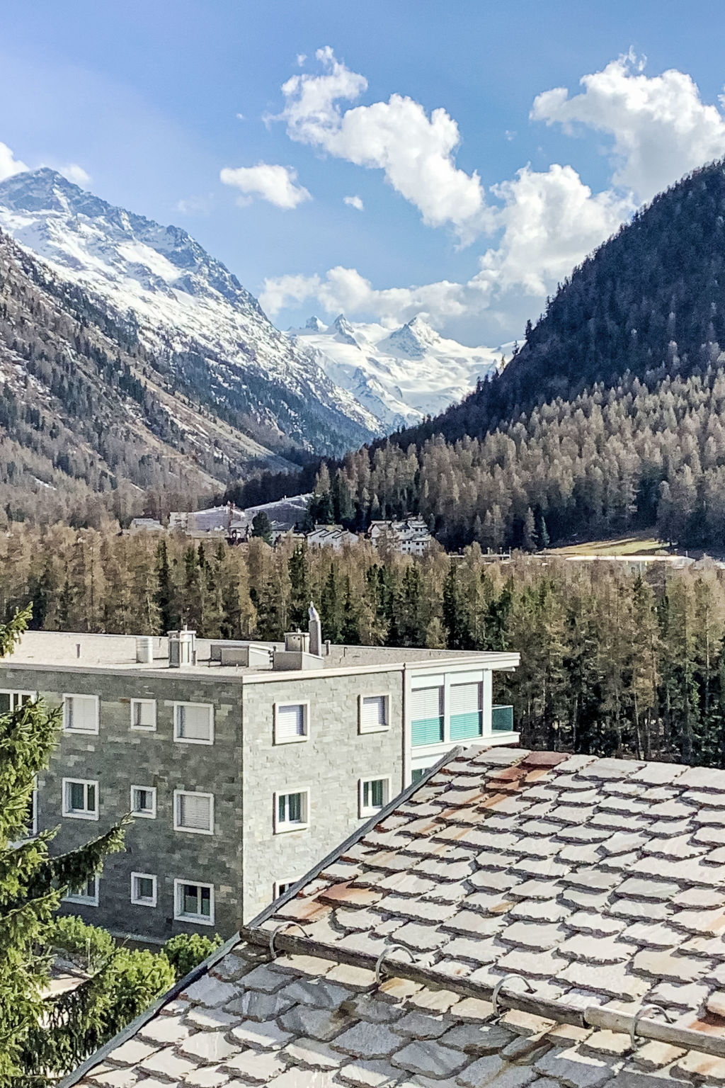 Photo of Ferienwohnung Panorama - Chesa Roseg