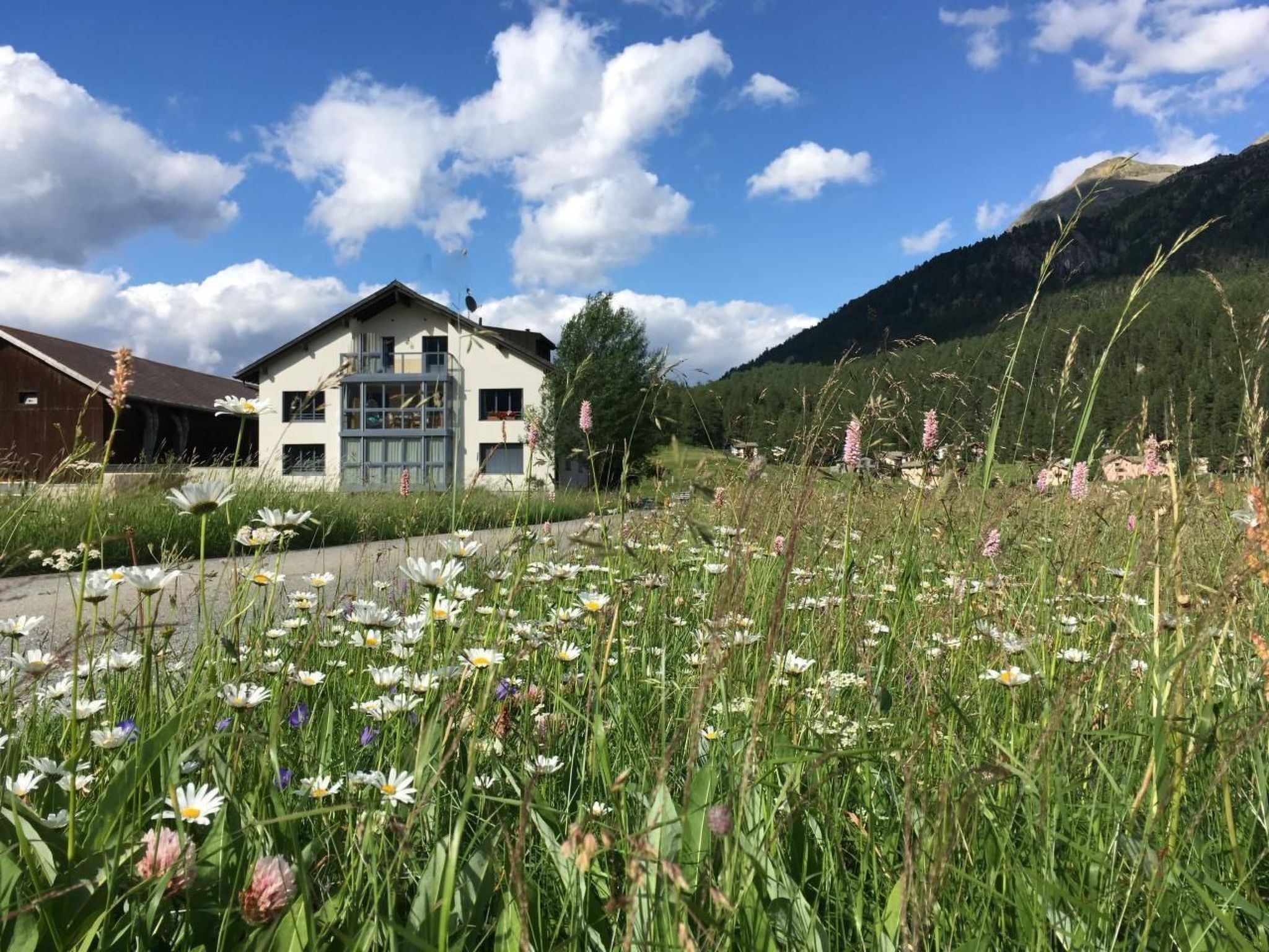 Chesa Palüds Villa in Silvaplana-Surlej