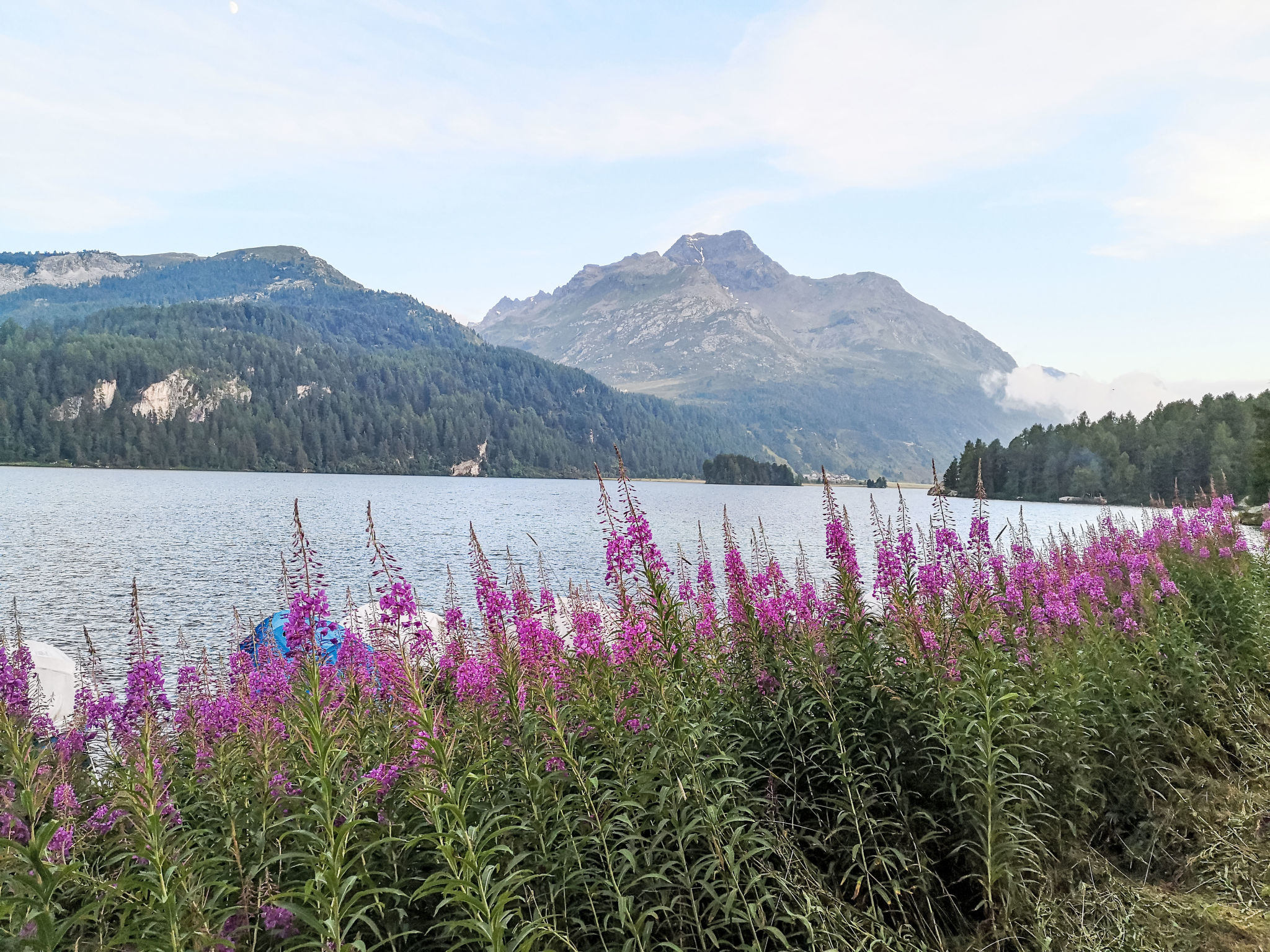 Ruim 4-persoons appartement in Sils Maria met bergzicht en lift - foto 15