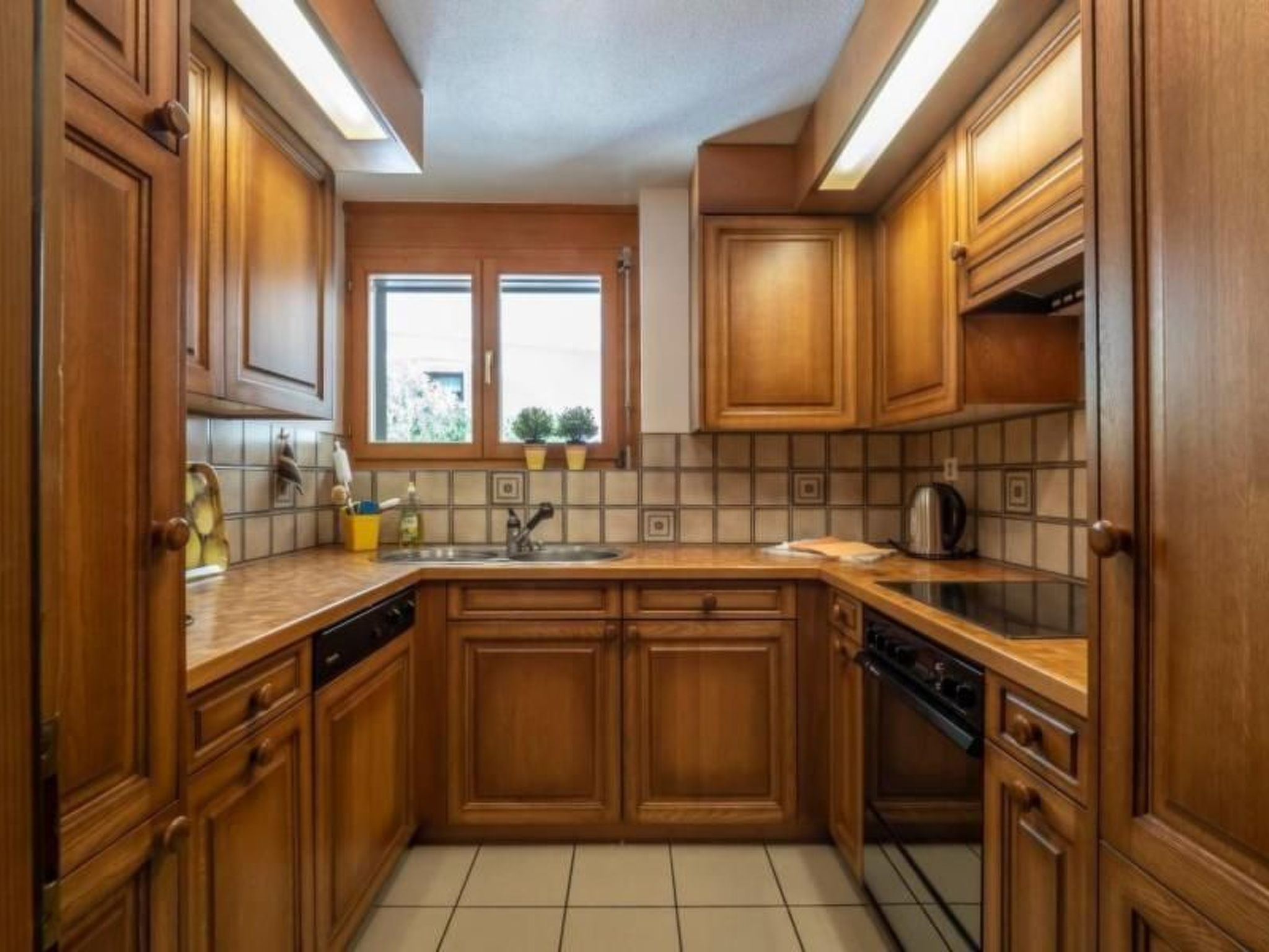 Selvas 12-Image-tags.info