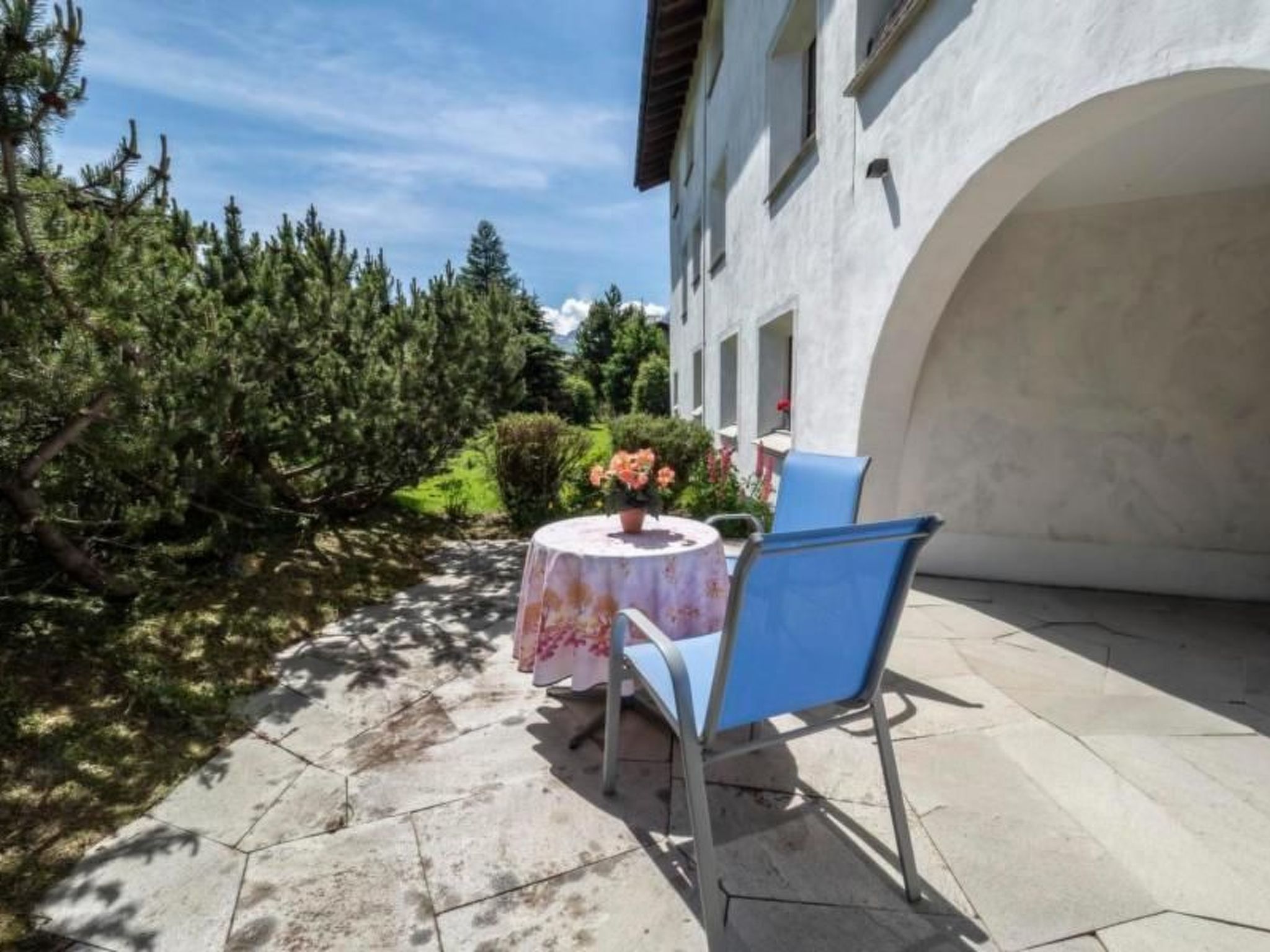 Selvas 12-Image-tags.info