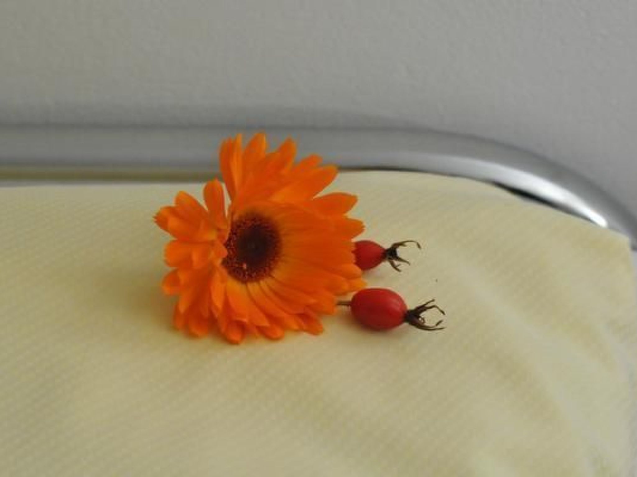 Residenz Alpenrose25-Image-tags.info