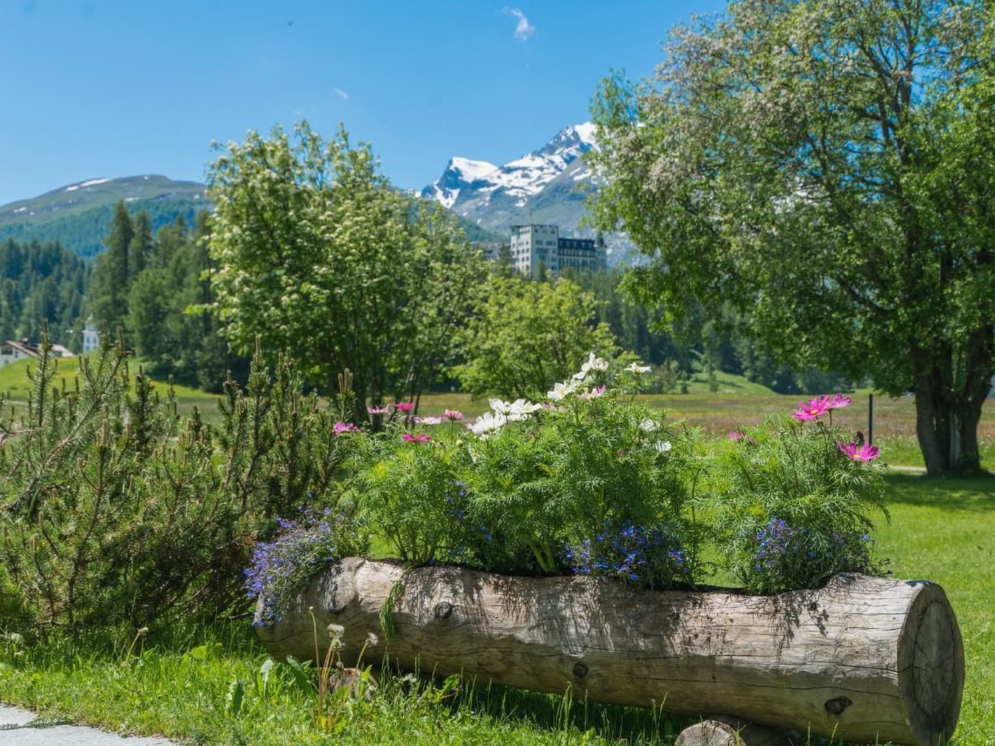 Chesa Flur Sulagl 1-Image-tags.info