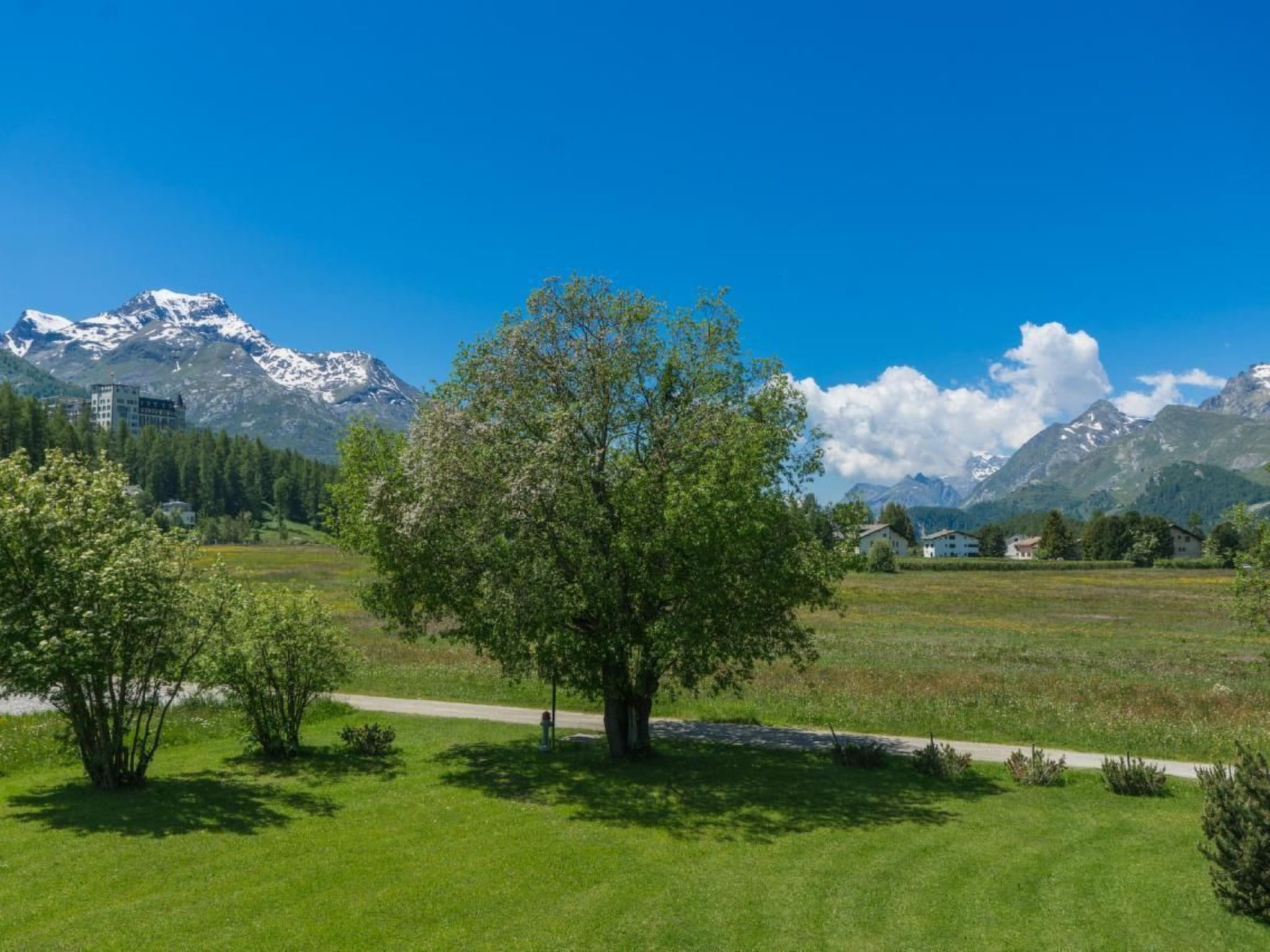 Chesa Flur Sulagl 2-Image-tags.info