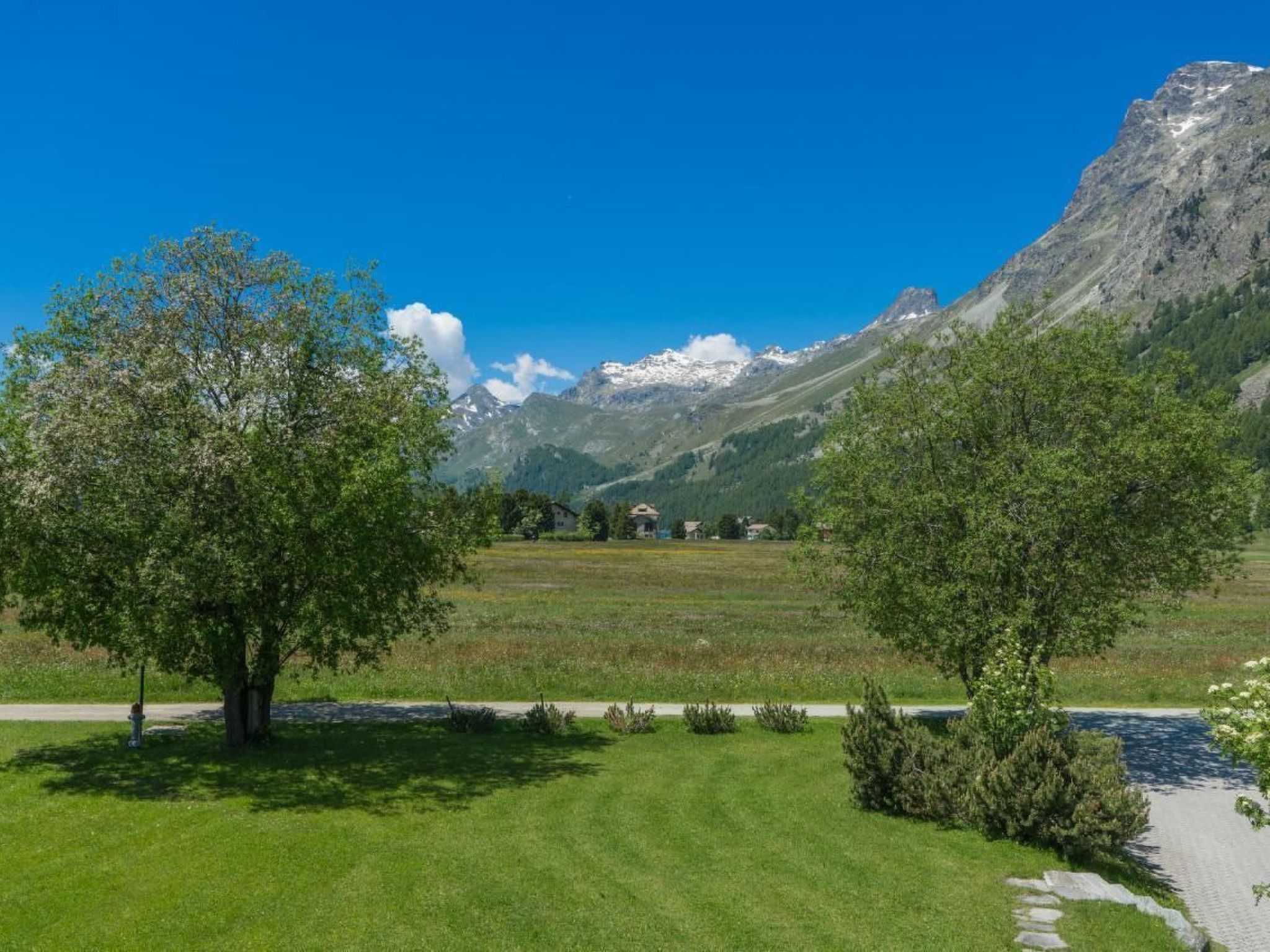 Chesa Flur Sulagl 2-Image-tags.info