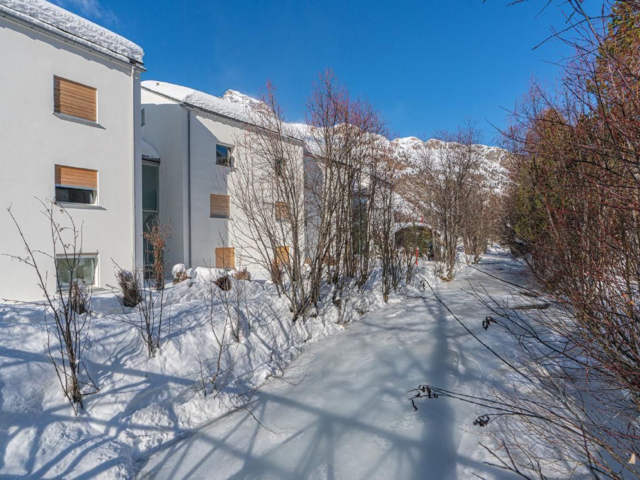 Edelweiss 5.3-Image-tags.info