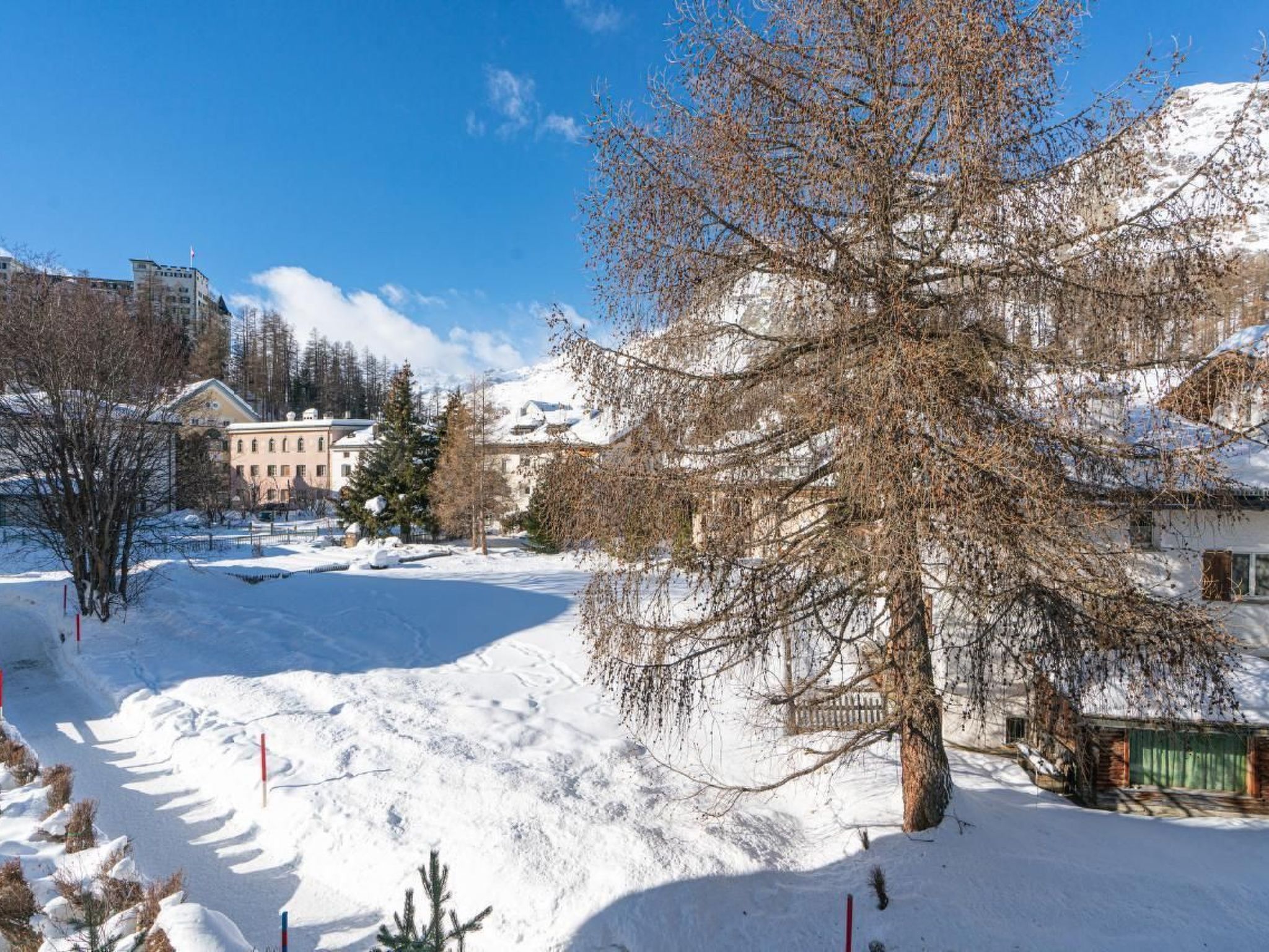 Edelweiss 5.3-Image-tags.info