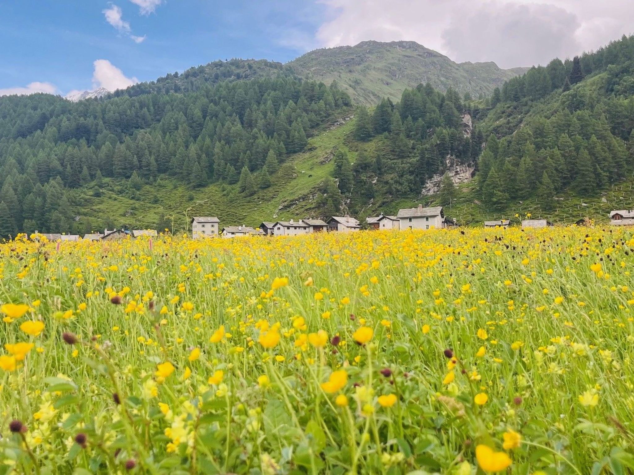 CasaBellavista Isola-Binnen