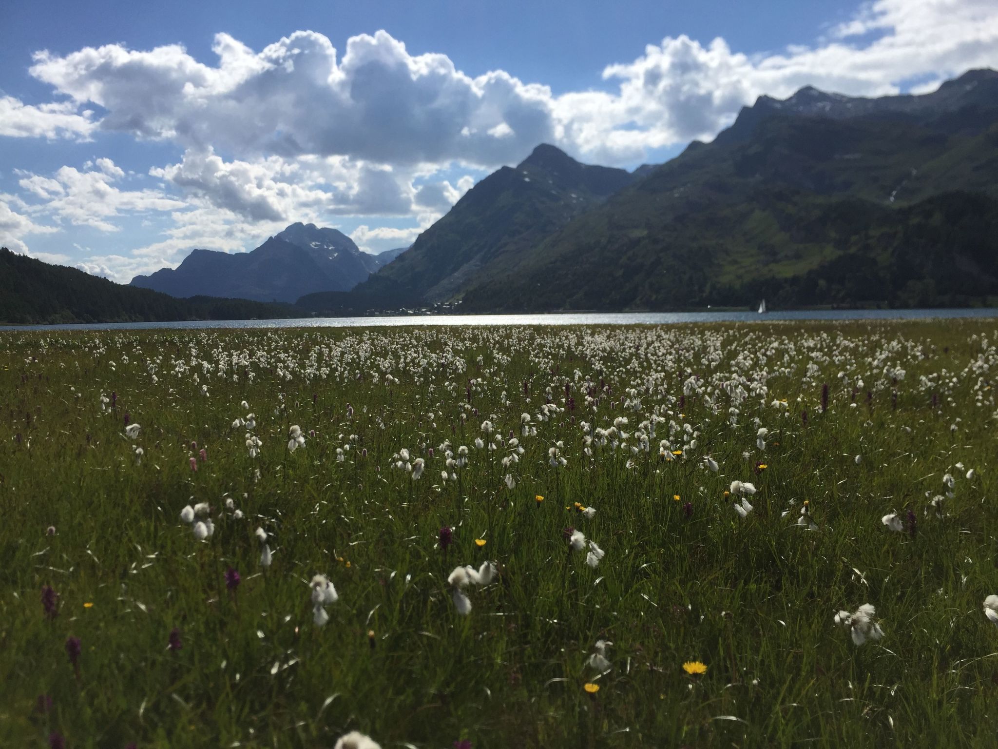 CasaBellavista Isola-Binnen
