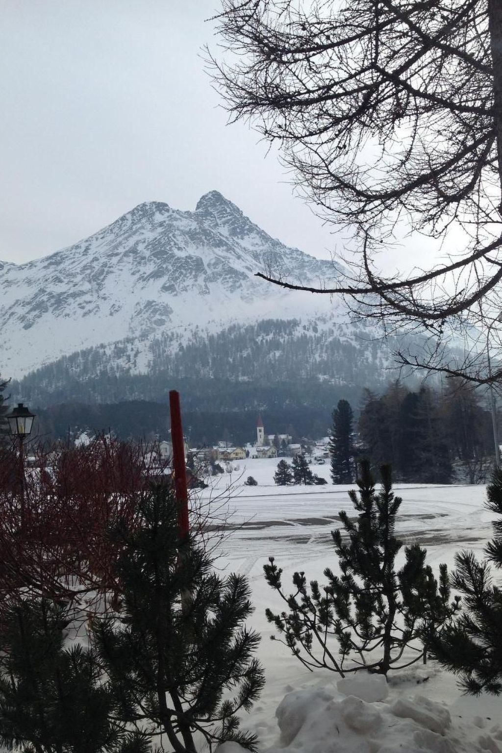 Studio Genziana-Image-tags.info