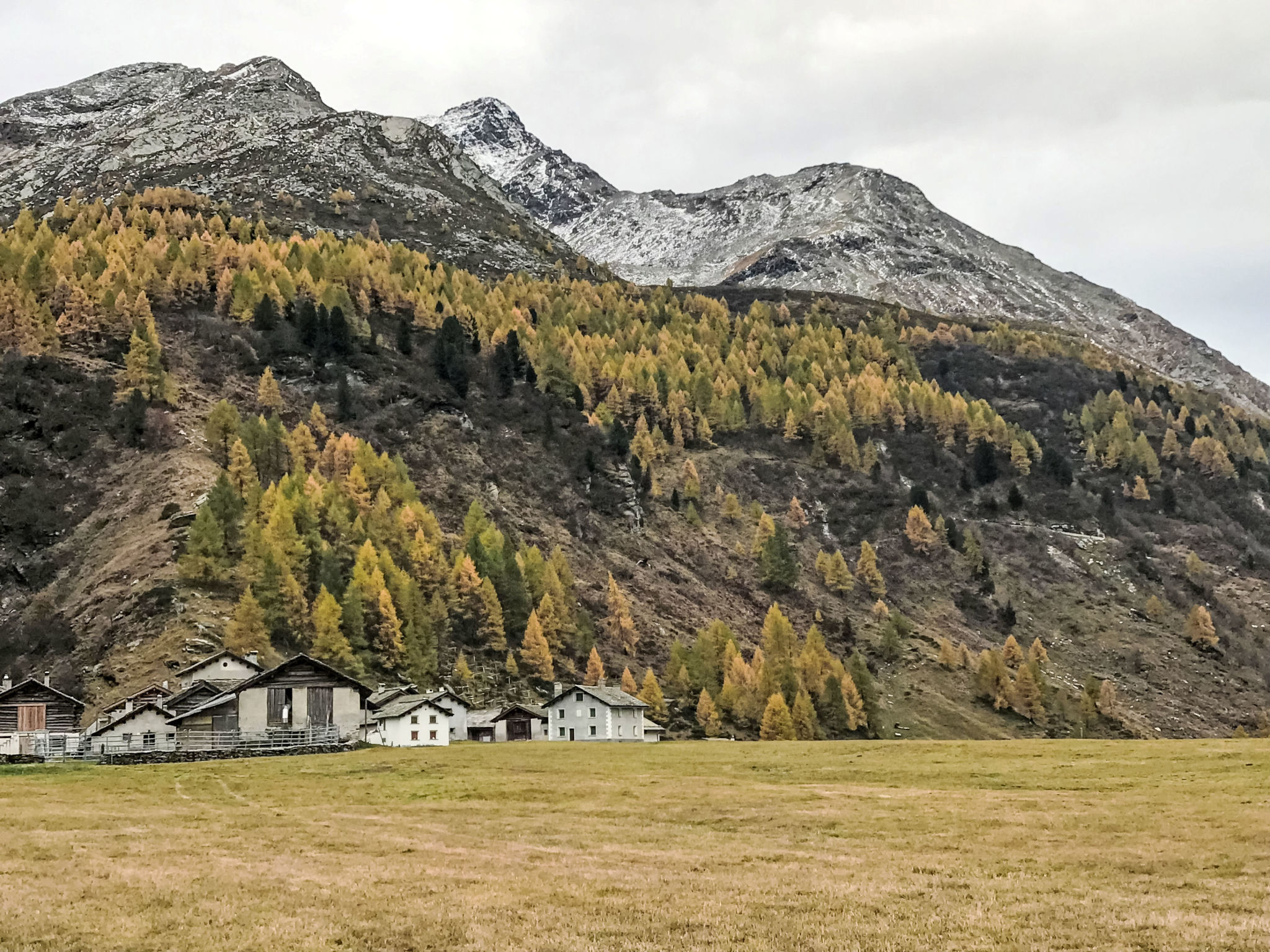 Apartment Margnetta luxuriöse Attikawohnung mit Aussicht - Omgeving