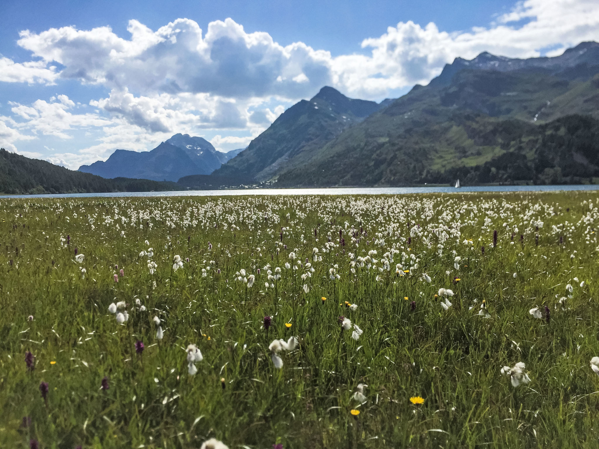 Apartment Margnetta luxuriöse Attikawohnung mit Aussicht - Omgeving