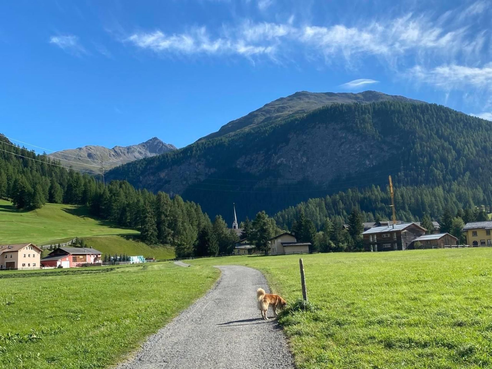 Chesa Ladina-Outside